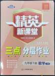 2023年精英新課堂九年級(jí)數(shù)學(xué)下冊(cè)人教版