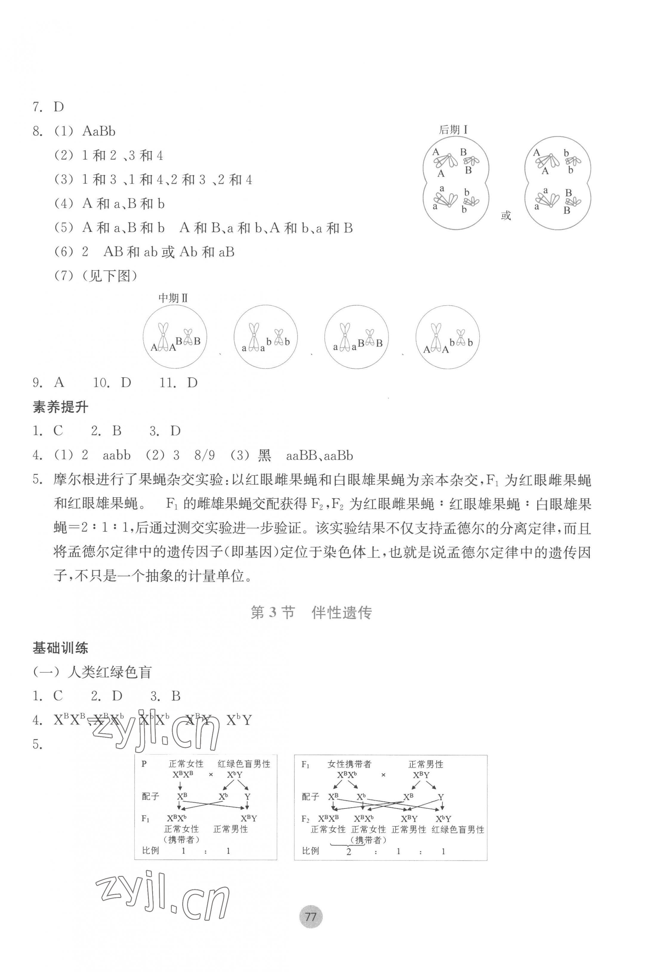 2023年作業(yè)本浙江教育出版社高中生物必修2人教版 第5頁