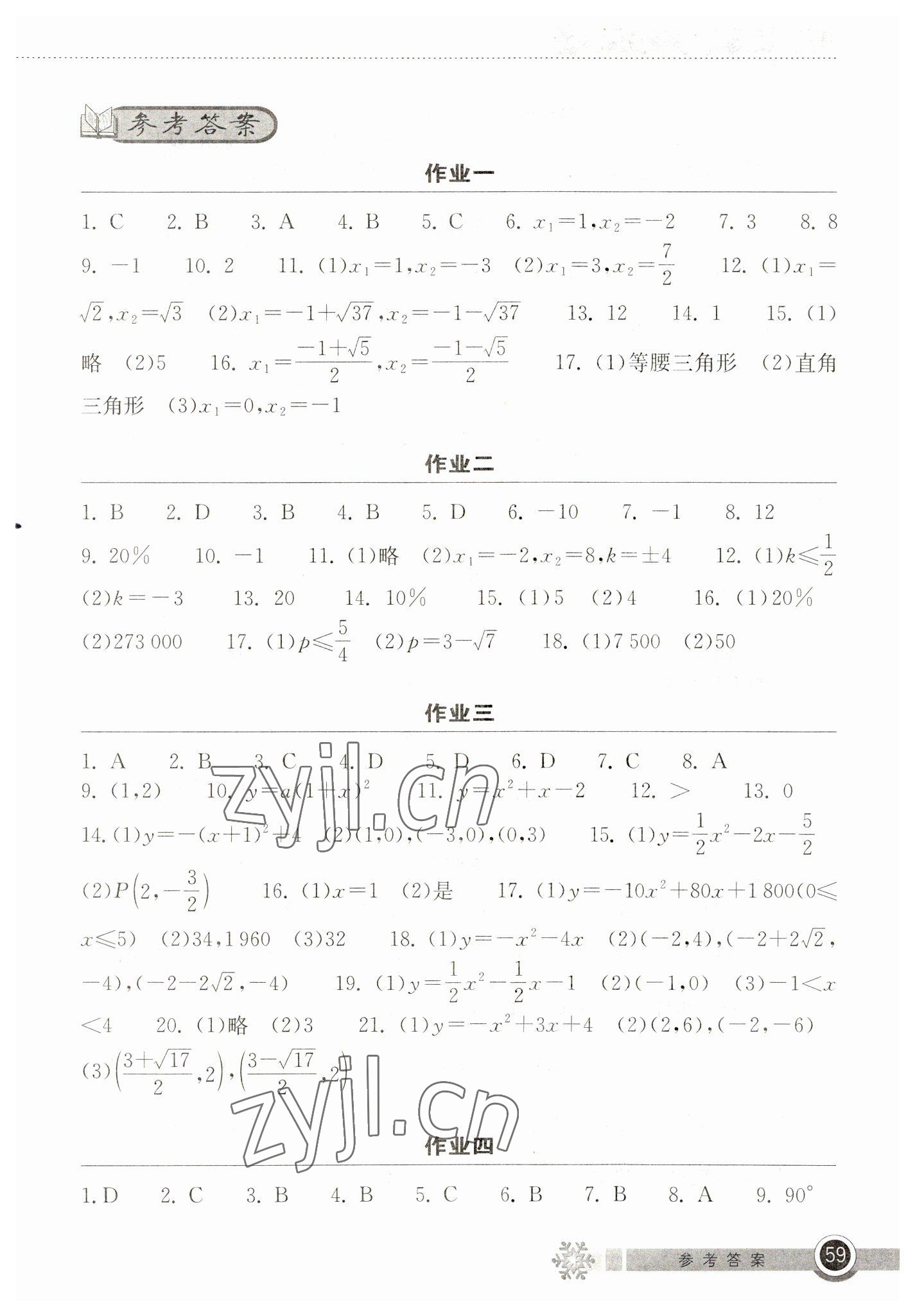 2023年长江作业本寒假作业湖北教育出版社九年级数学人教版 第1页