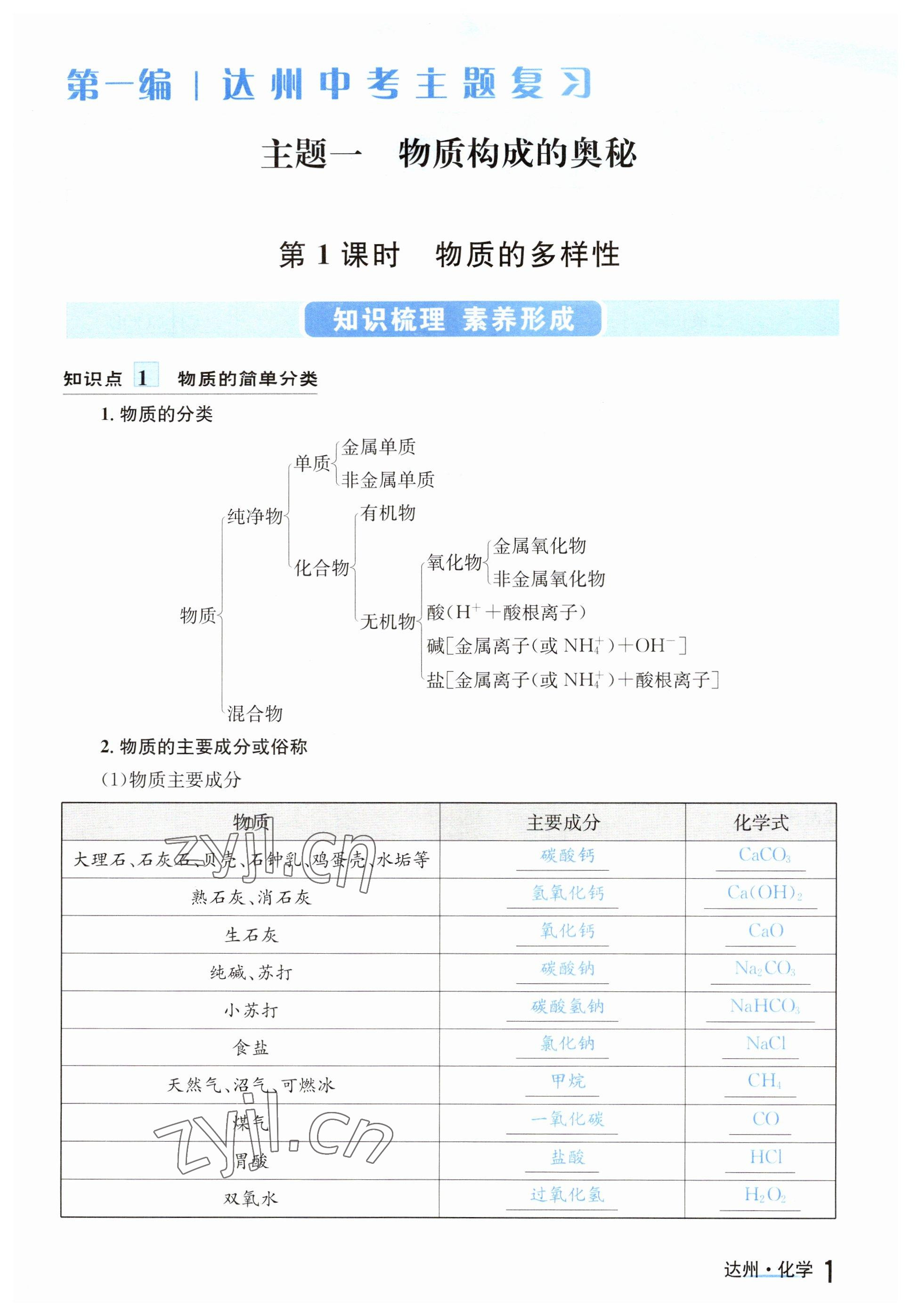 2023年国华考试中考总动员化学达州专版 参考答案第1页