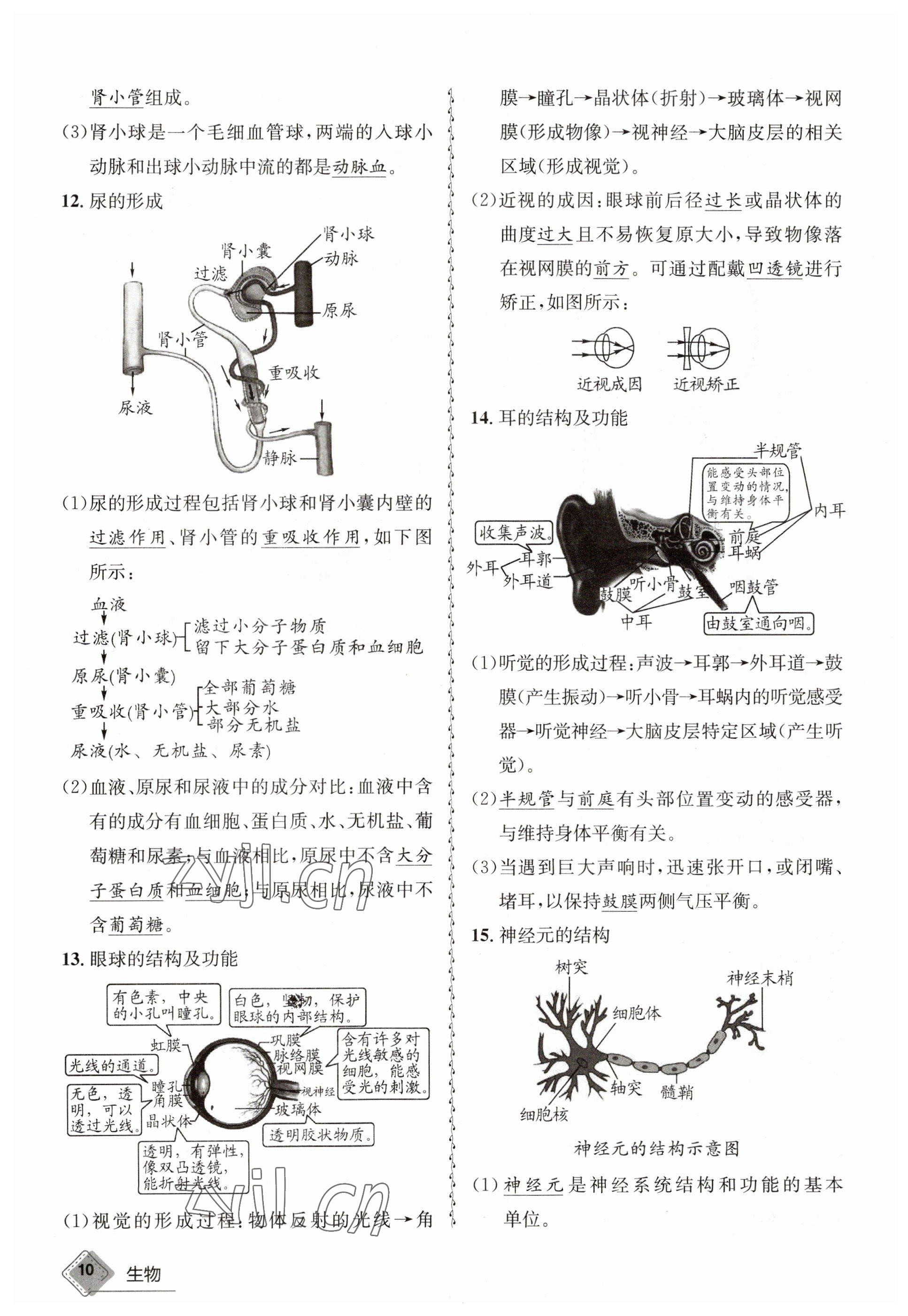 2023年天府教与学中考复习与训练生物达州专版 参考答案第34页