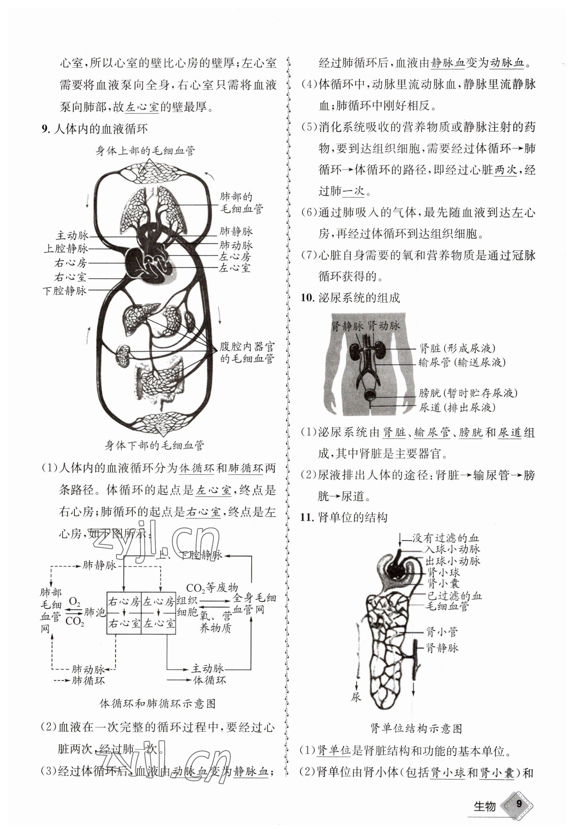 2023年天府教与学中考复习与训练生物达州专版 参考答案第31页