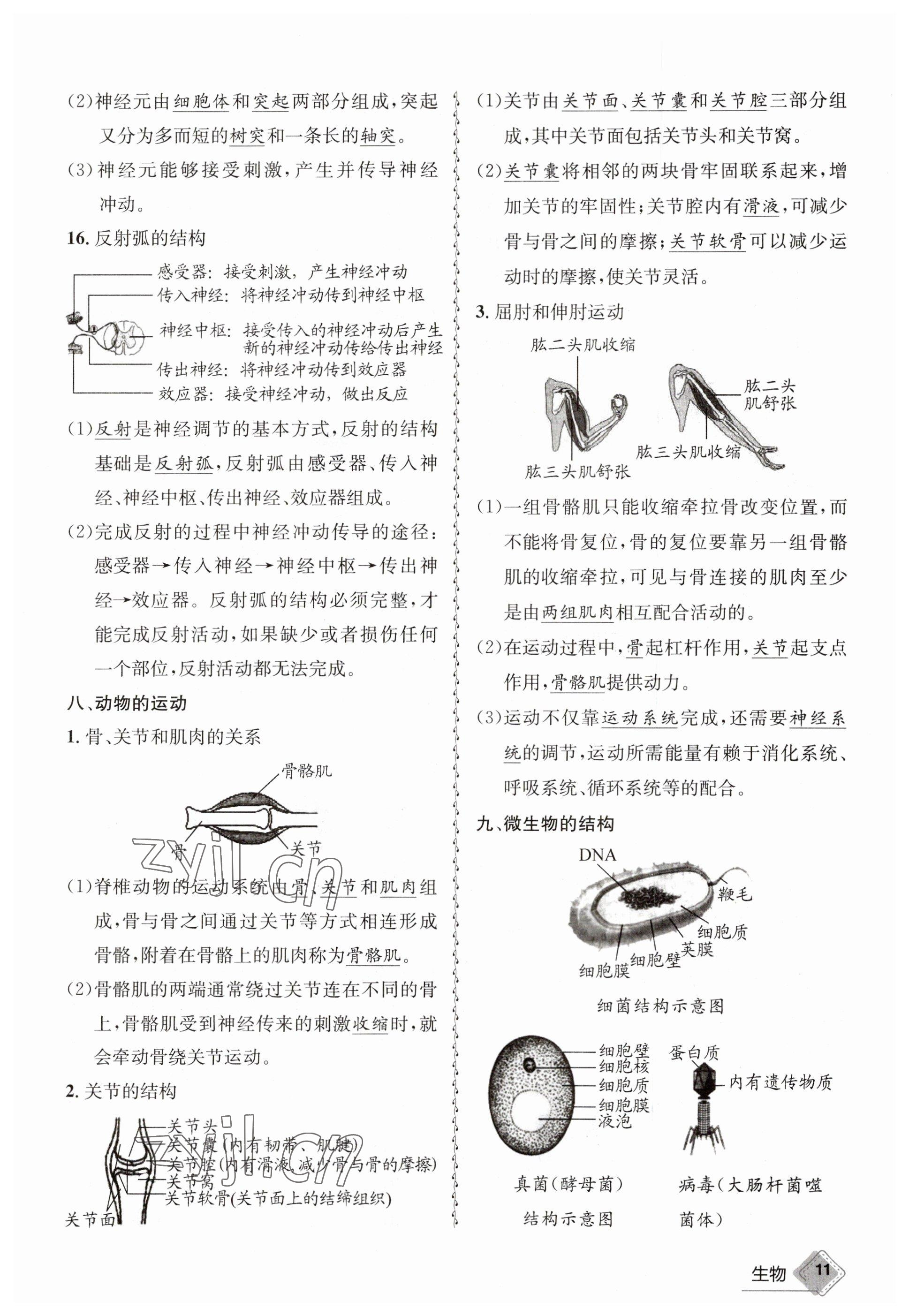 2023年天府教與學(xué)中考復(fù)習(xí)與訓(xùn)練生物達(dá)州專版 參考答案第37頁