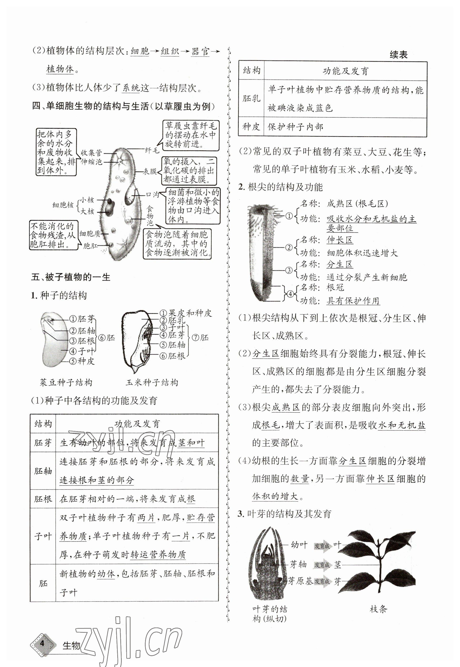 2023年天府教与学中考复习与训练生物达州专版 参考答案第16页