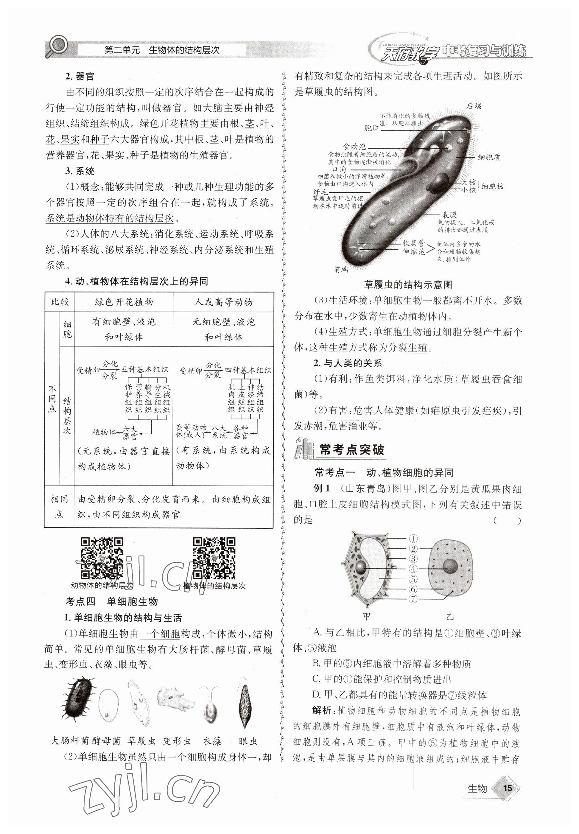 2023年天府教與學(xué)中考復(fù)習(xí)與訓(xùn)練生物達(dá)州專(zhuān)版 參考答案第41頁(yè)