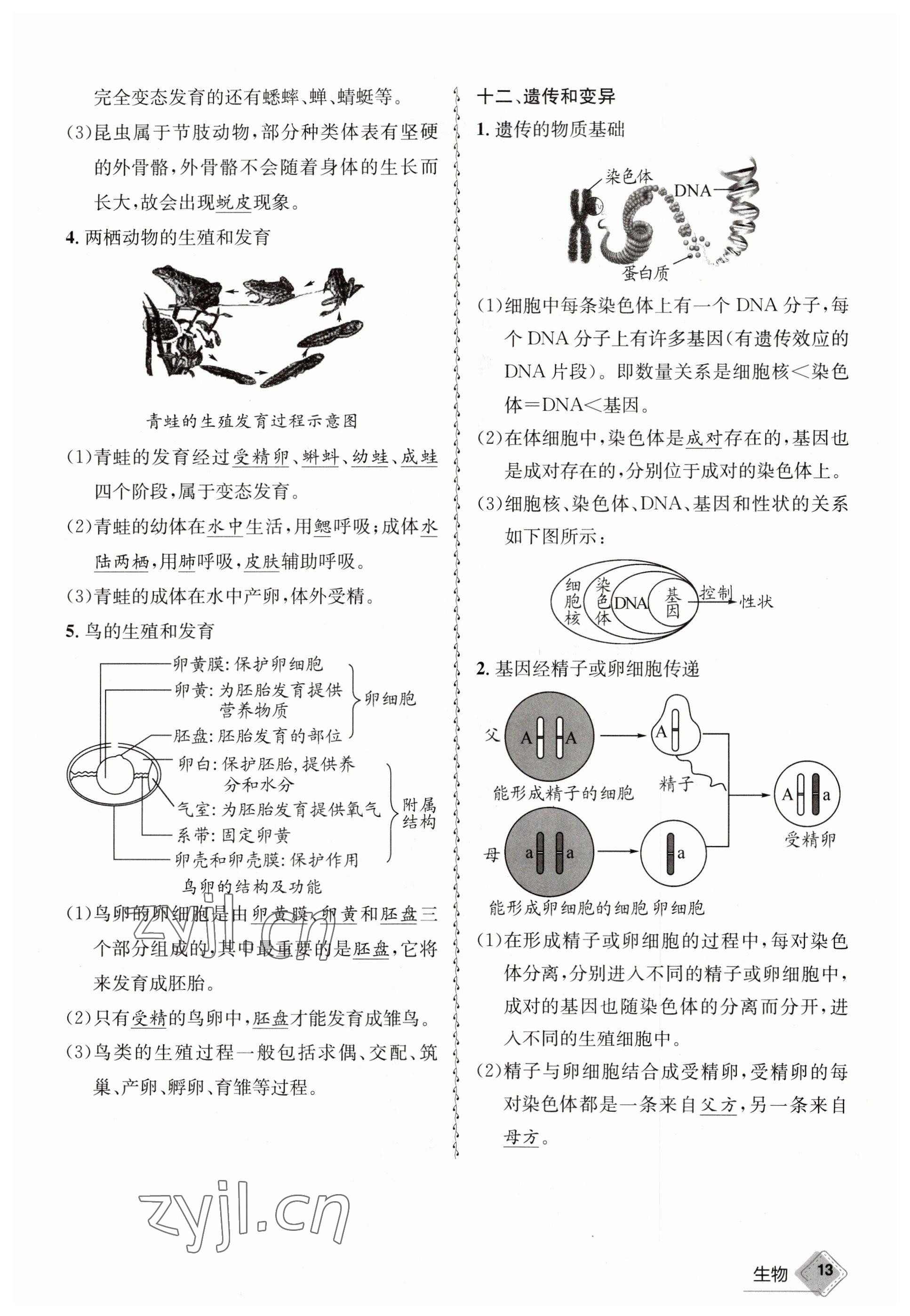 2023年天府教與學中考復習與訓練生物達州專版 參考答案第43頁