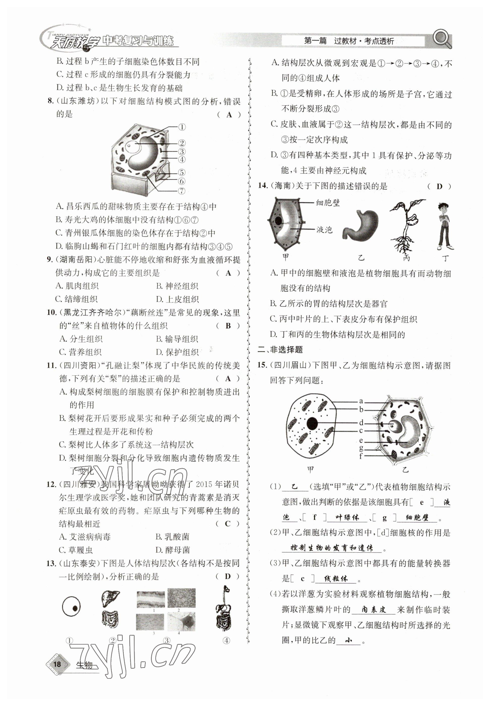 2023年天府教与学中考复习与训练生物达州专版 参考答案第50页