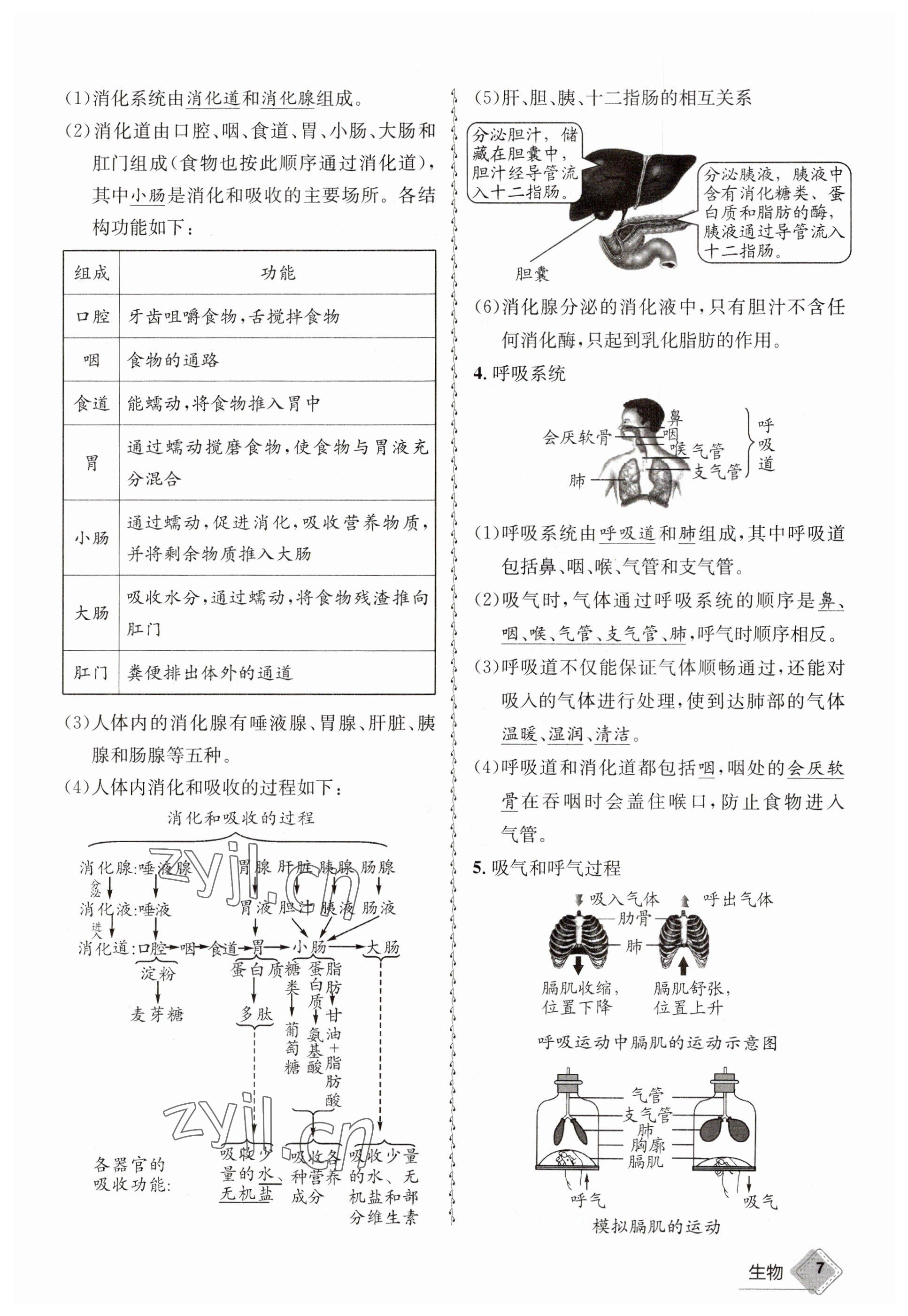 2023年天府教与学中考复习与训练生物达州专版 参考答案第25页