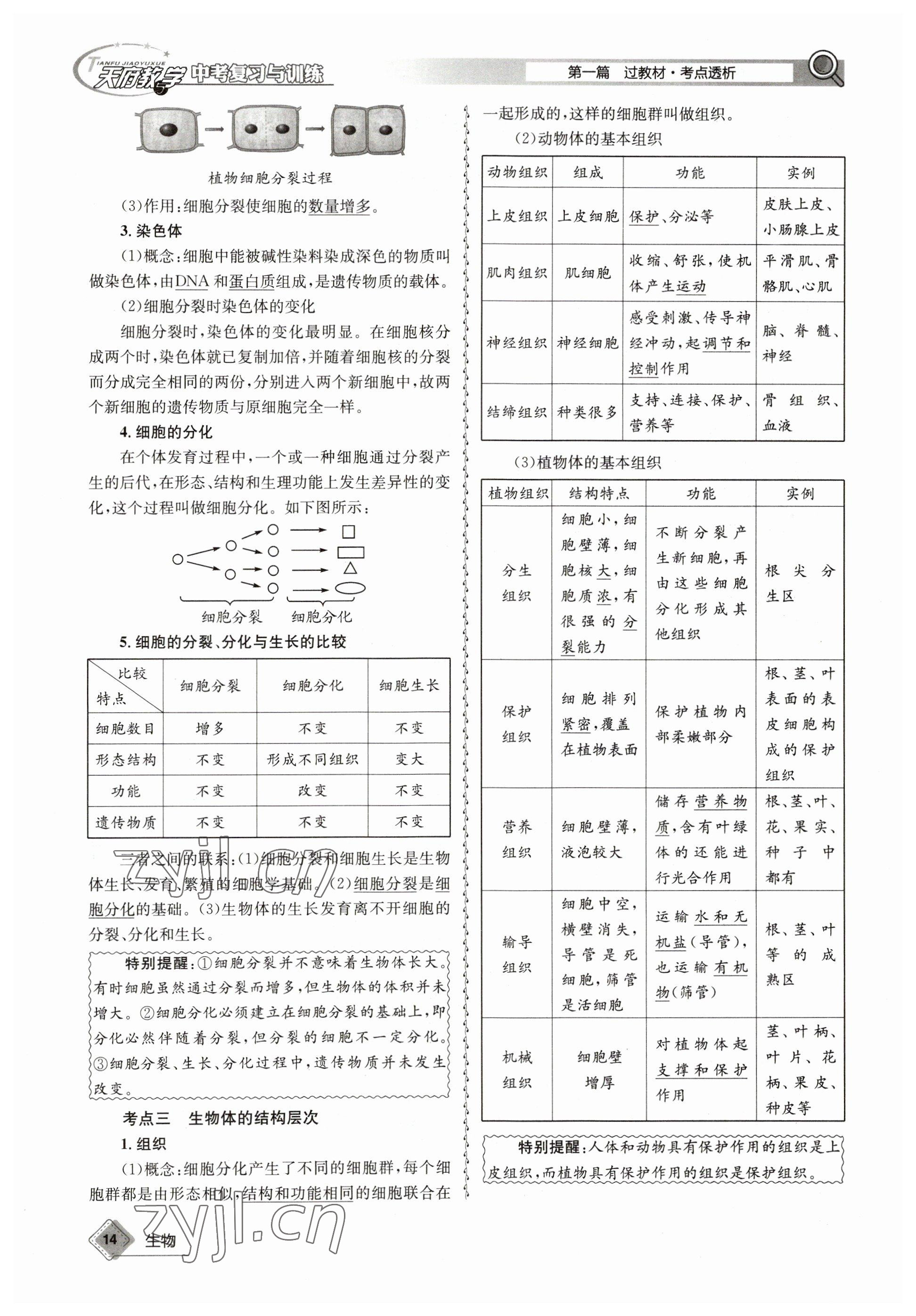 2023年天府教与学中考复习与训练生物达州专版 参考答案第38页