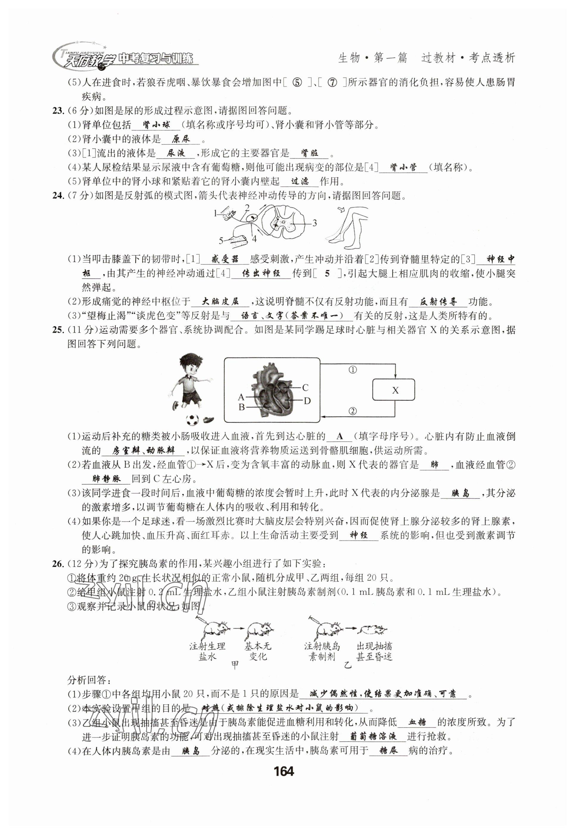 2023年天府教与学中考复习与训练生物达州专版 参考答案第21页