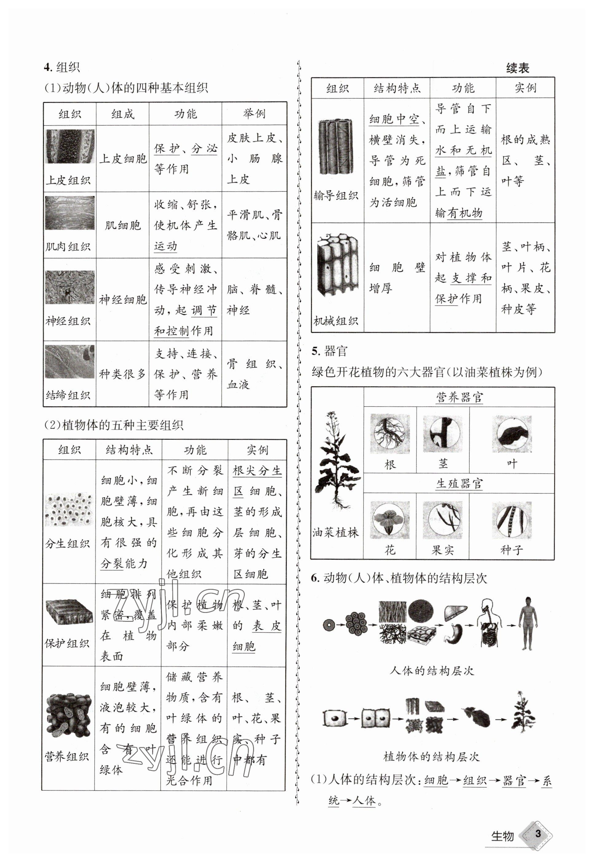 2023年天府教與學(xué)中考復(fù)習(xí)與訓(xùn)練生物達(dá)州專(zhuān)版 參考答案第13頁(yè)