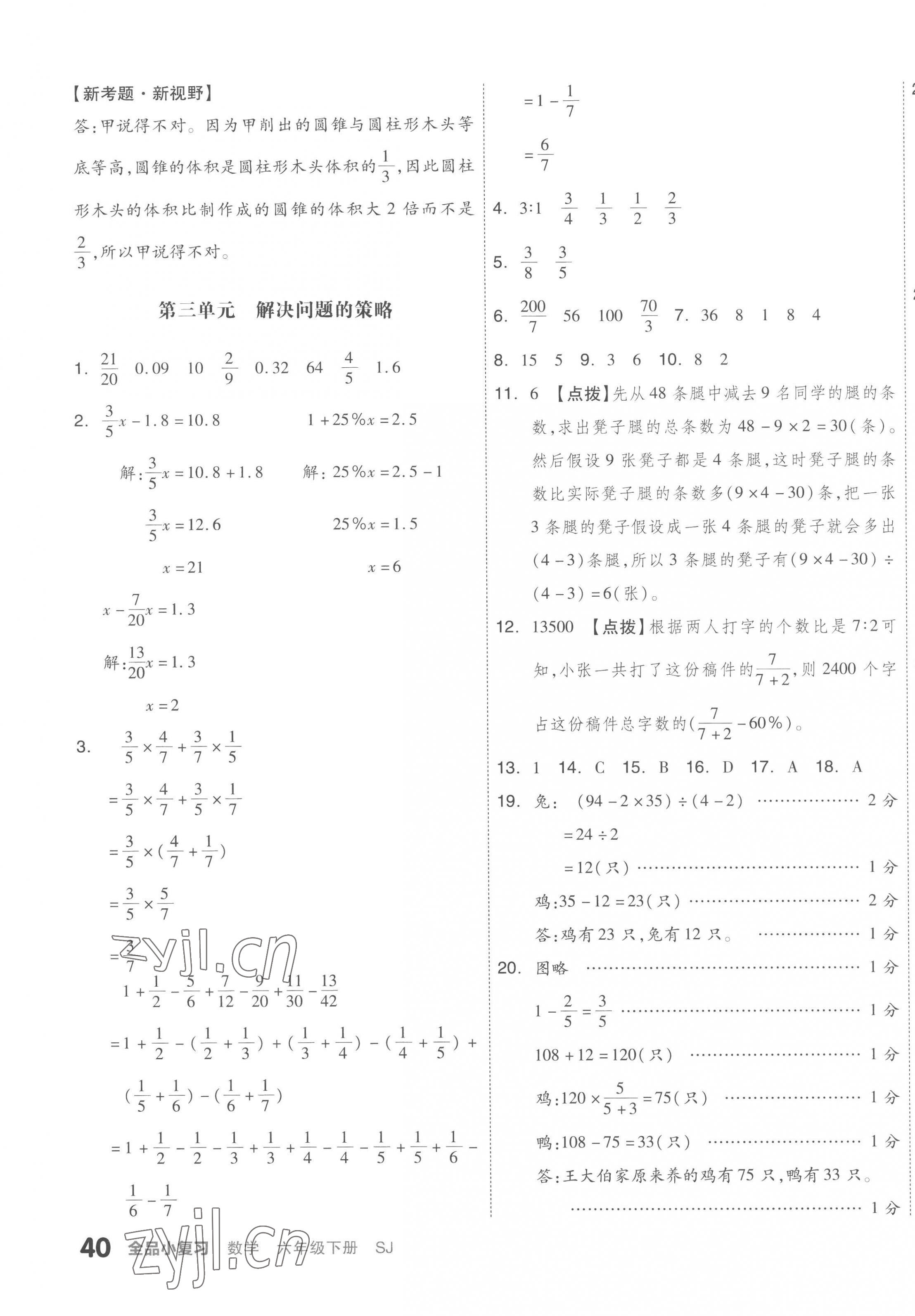 2023年全品小复习六年级数学下册苏教版 第3页