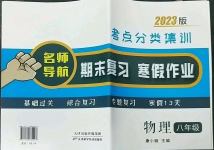 2023年名師導(dǎo)航期末復(fù)習(xí)寒假作業(yè)八年級(jí)物理深圳專版