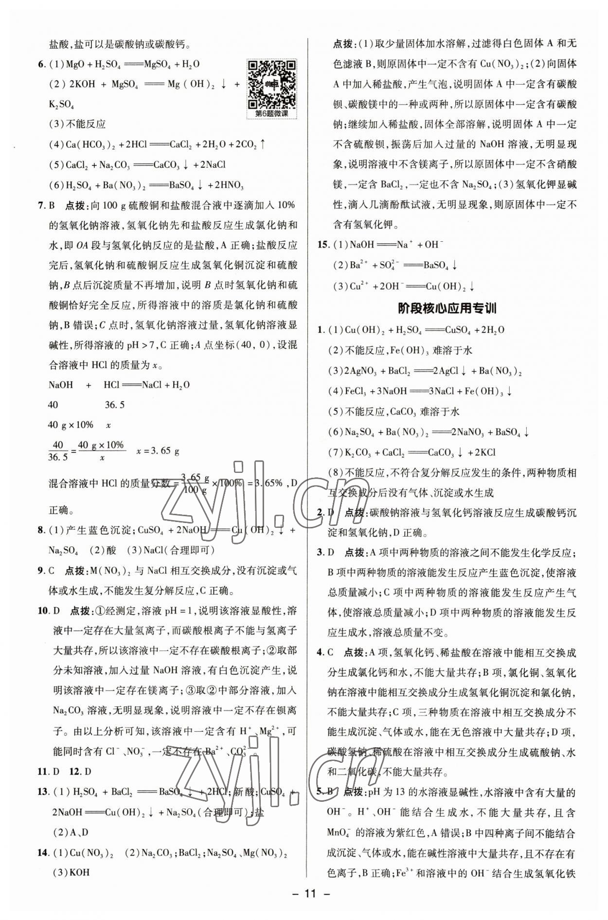 2023年綜合應(yīng)用創(chuàng)新題典中點九年級化學(xué)下冊魯教版 參考答案第10頁