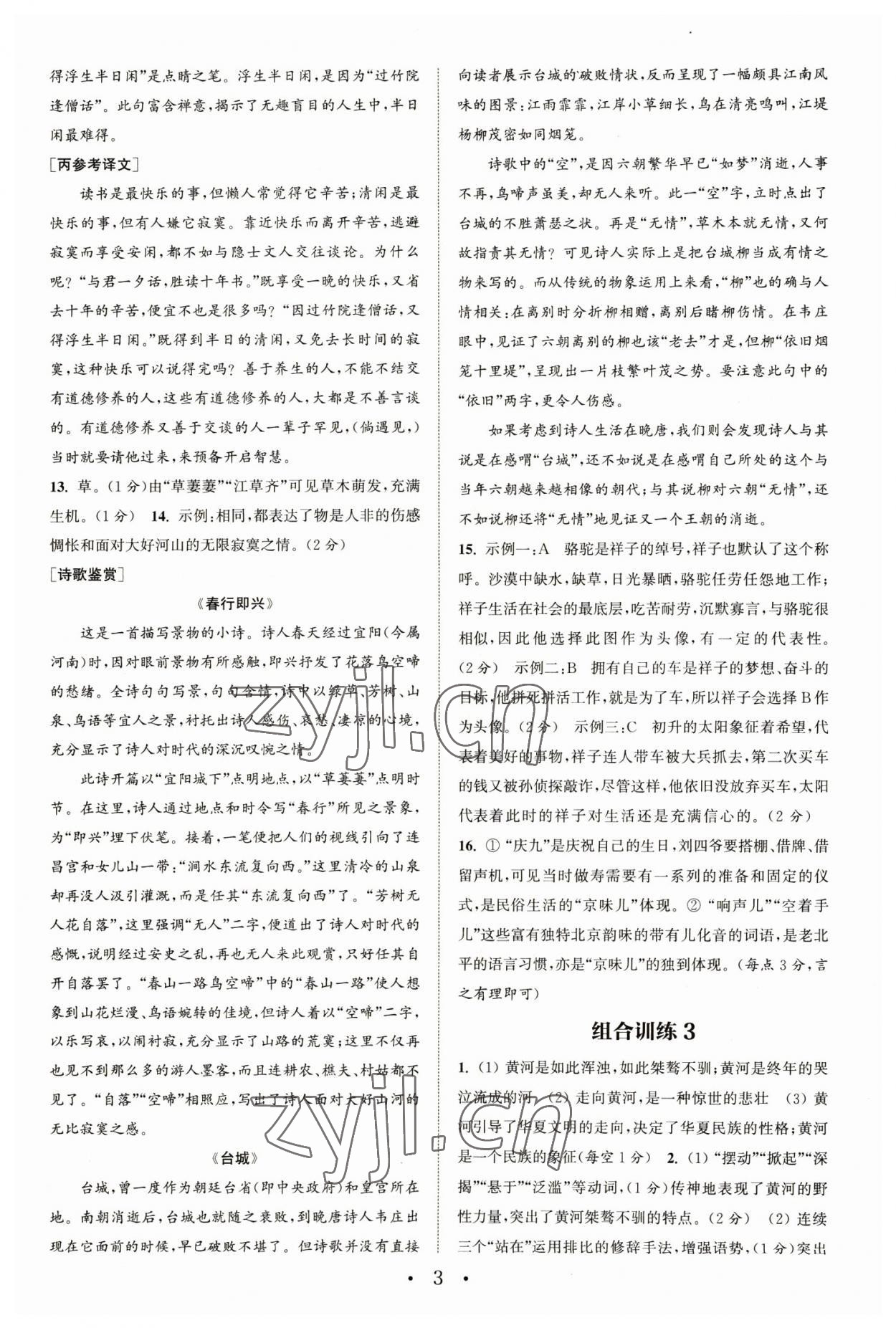 2023年通城學(xué)典初中語(yǔ)文閱讀組合訓(xùn)練七年級(jí)下冊(cè)浙江專版 參考答案第3頁(yè)