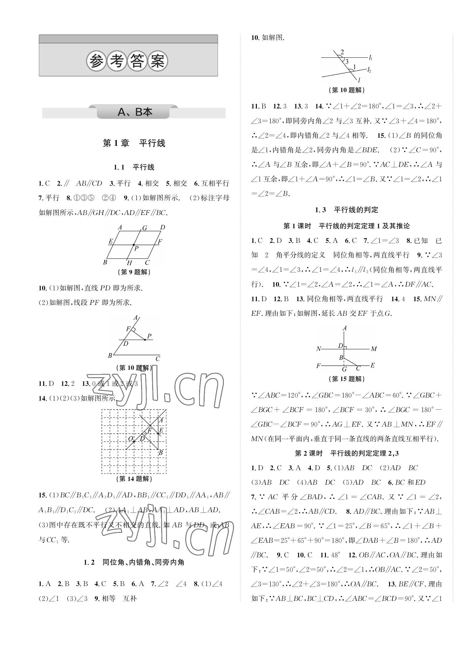 2023年自主輕松練七年級(jí)數(shù)學(xué)下冊(cè)浙教版 第1頁