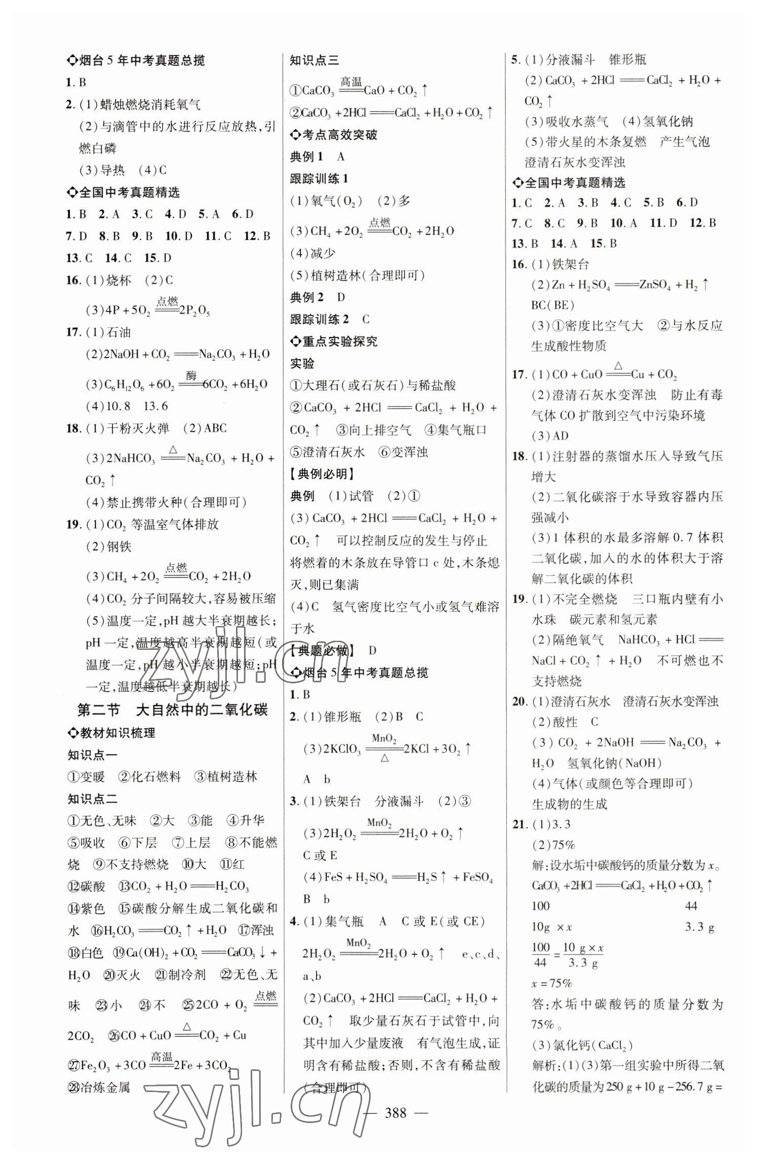 2023年初中总复习全程导航化学烟台专版 参考答案第7页