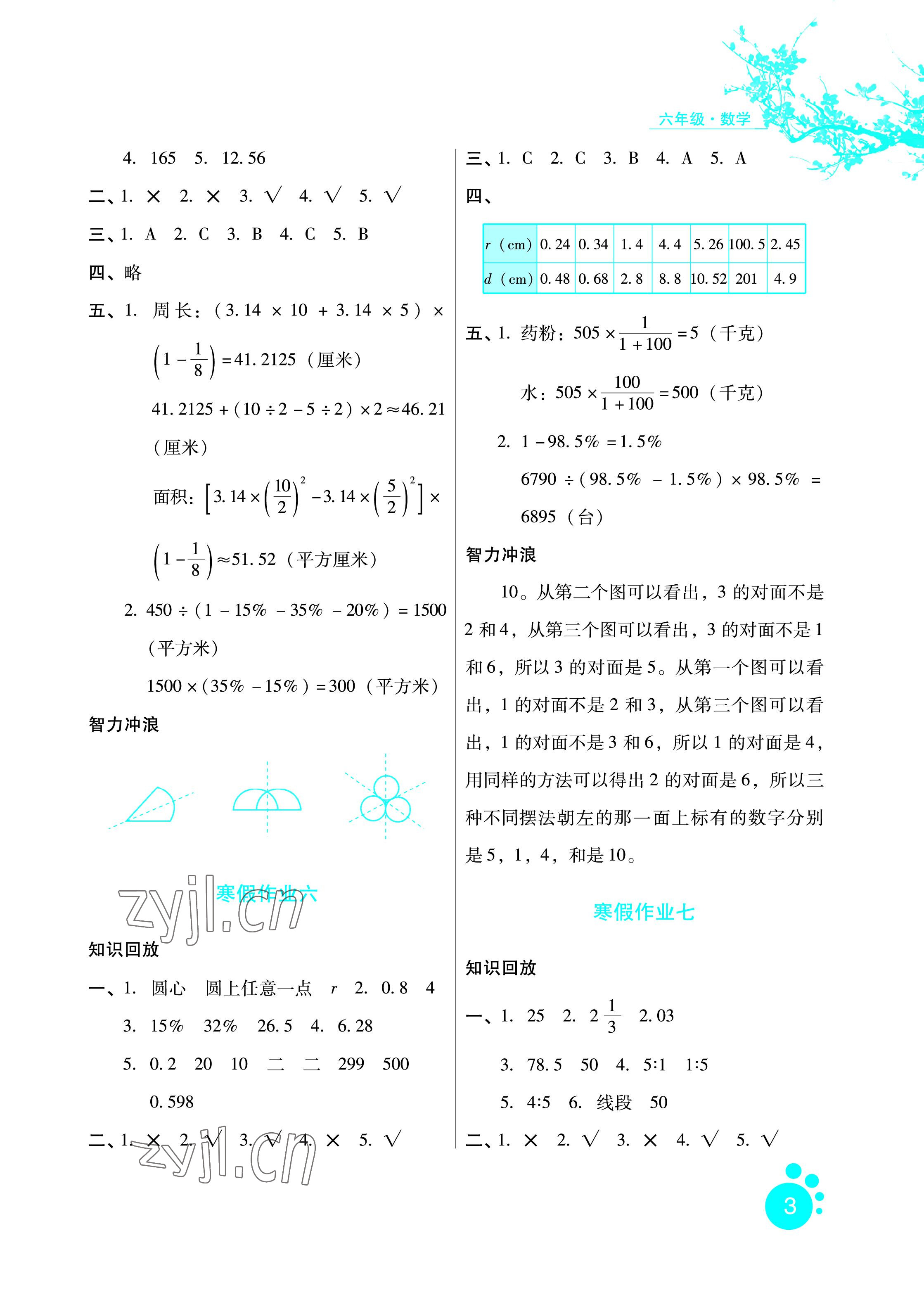 2023年寒假生活六年级数学冀教版河北少年儿童出版社 参考答案第3页