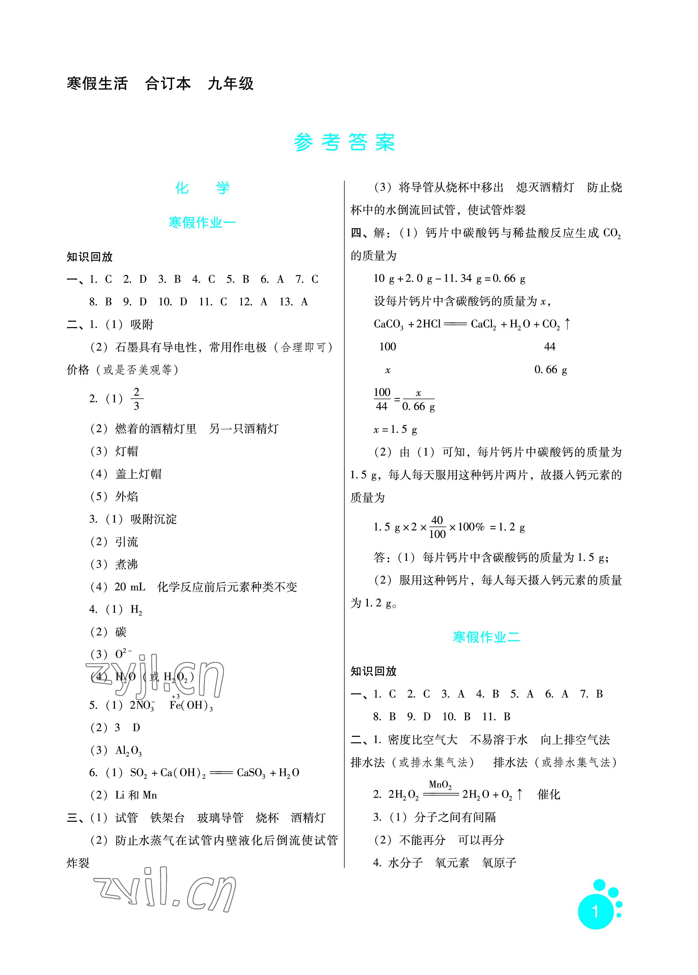 2023年寒假生活九年級(jí)綜合通用版河北少年兒童出版社 參考答案第1頁(yè)