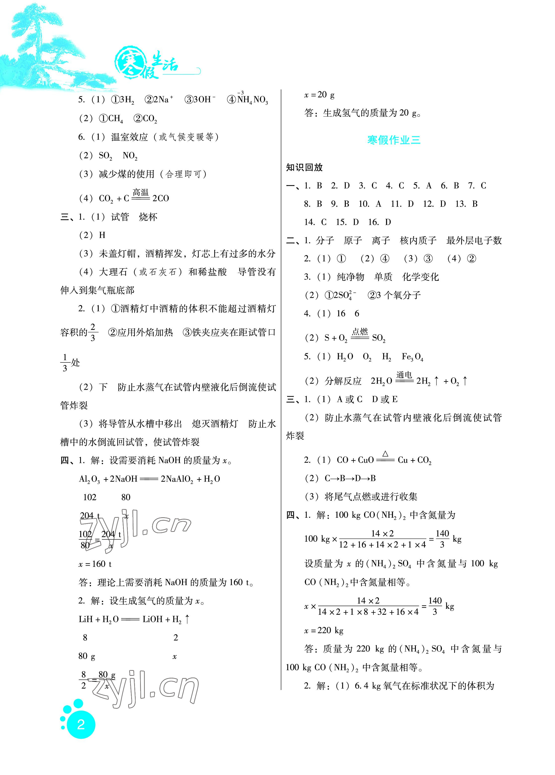 2023年寒假生活九年級(jí)綜合通用版河北少年兒童出版社 參考答案第2頁(yè)