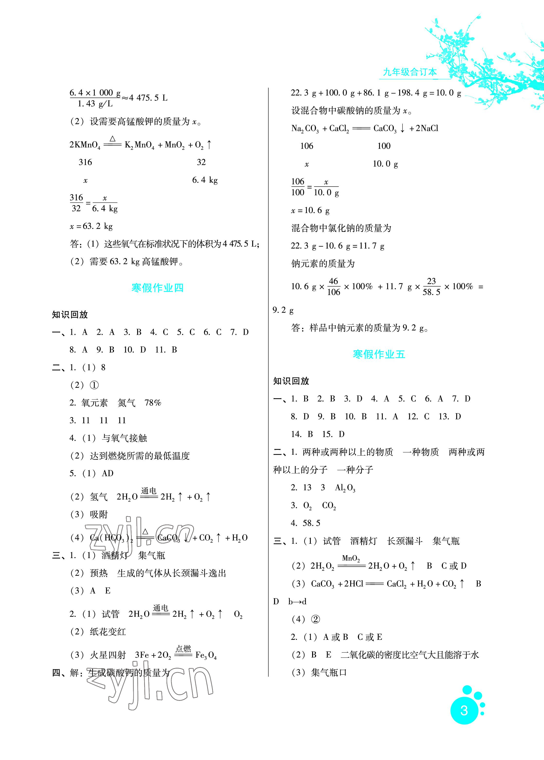 2023年寒假生活九年級綜合通用版河北少年兒童出版社 參考答案第3頁