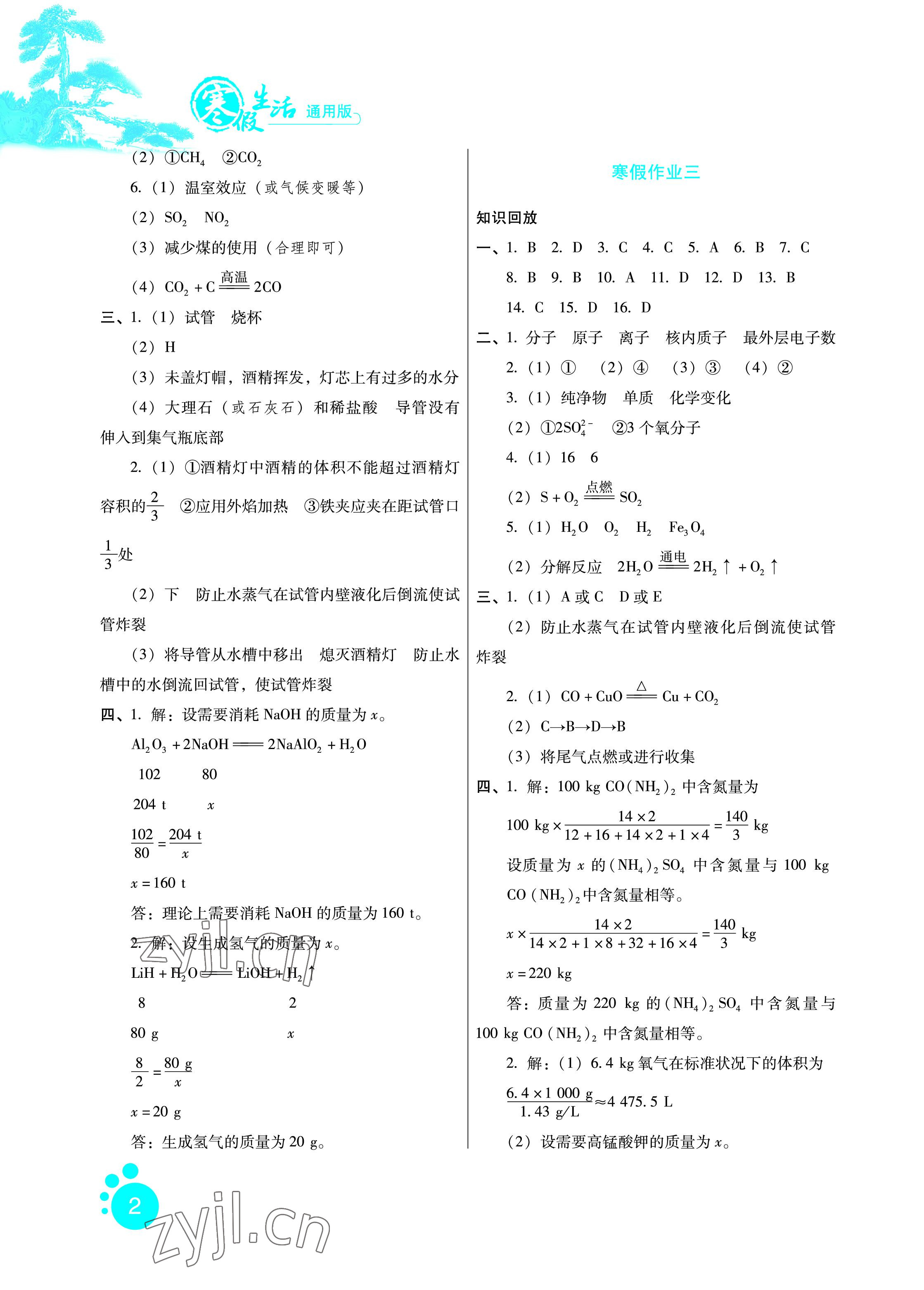 2023年寒假生活九年级化学通用版河北少年儿童出版社 参考答案第2页