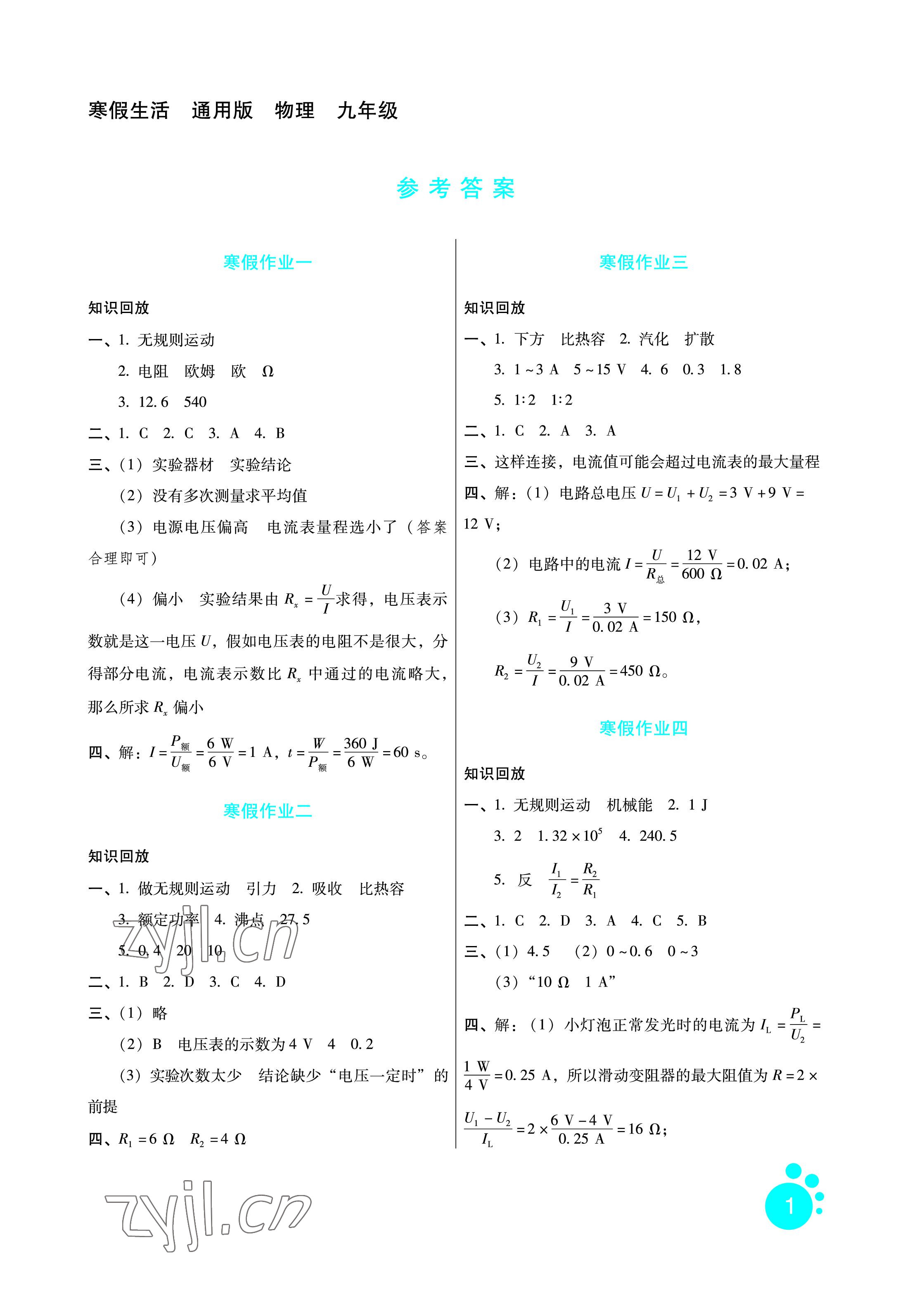 2023年寒假生活九年级物理通用版河北少年儿童出版社 参考答案第1页