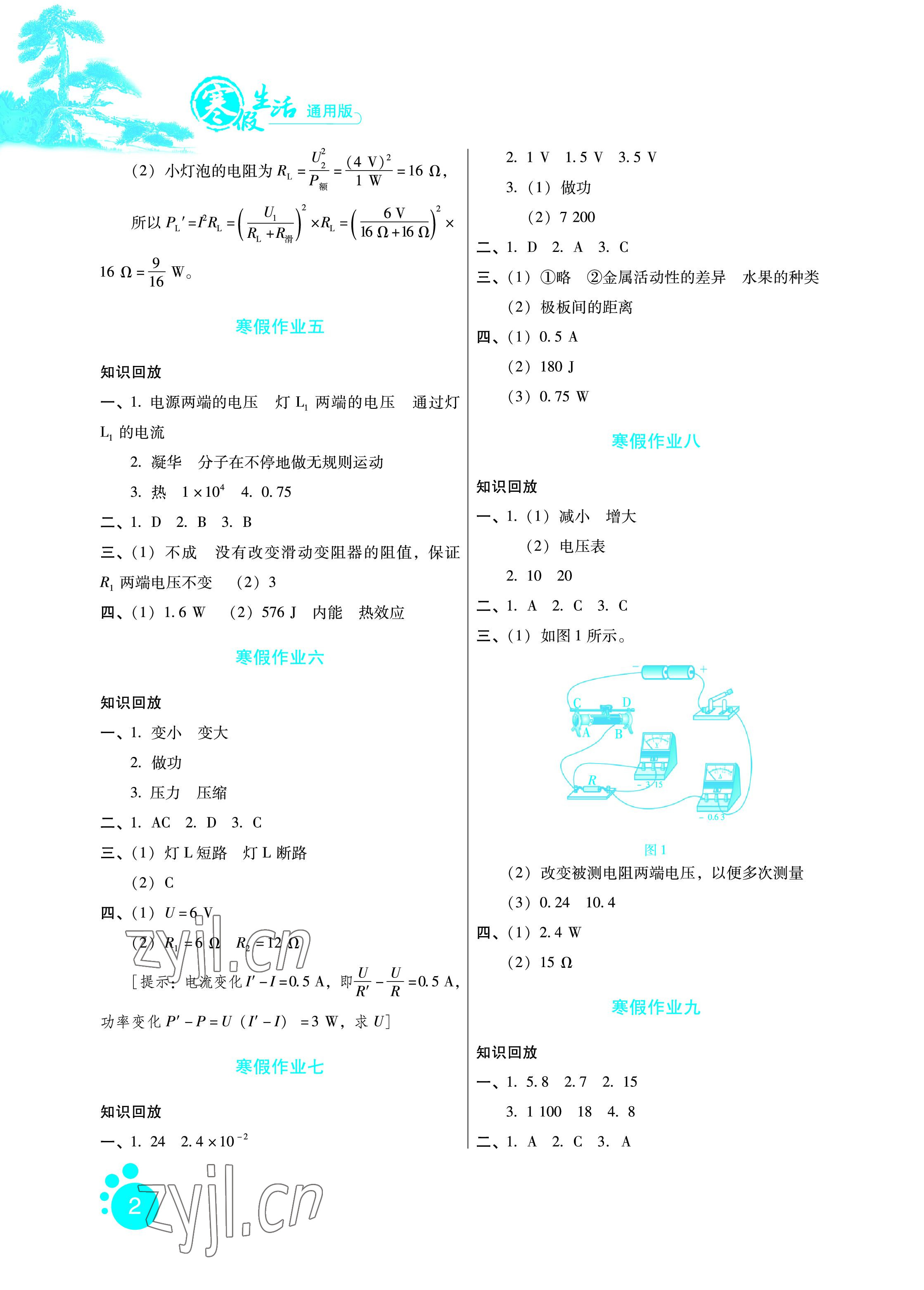 2023年寒假生活九年级物理通用版河北少年儿童出版社 参考答案第2页