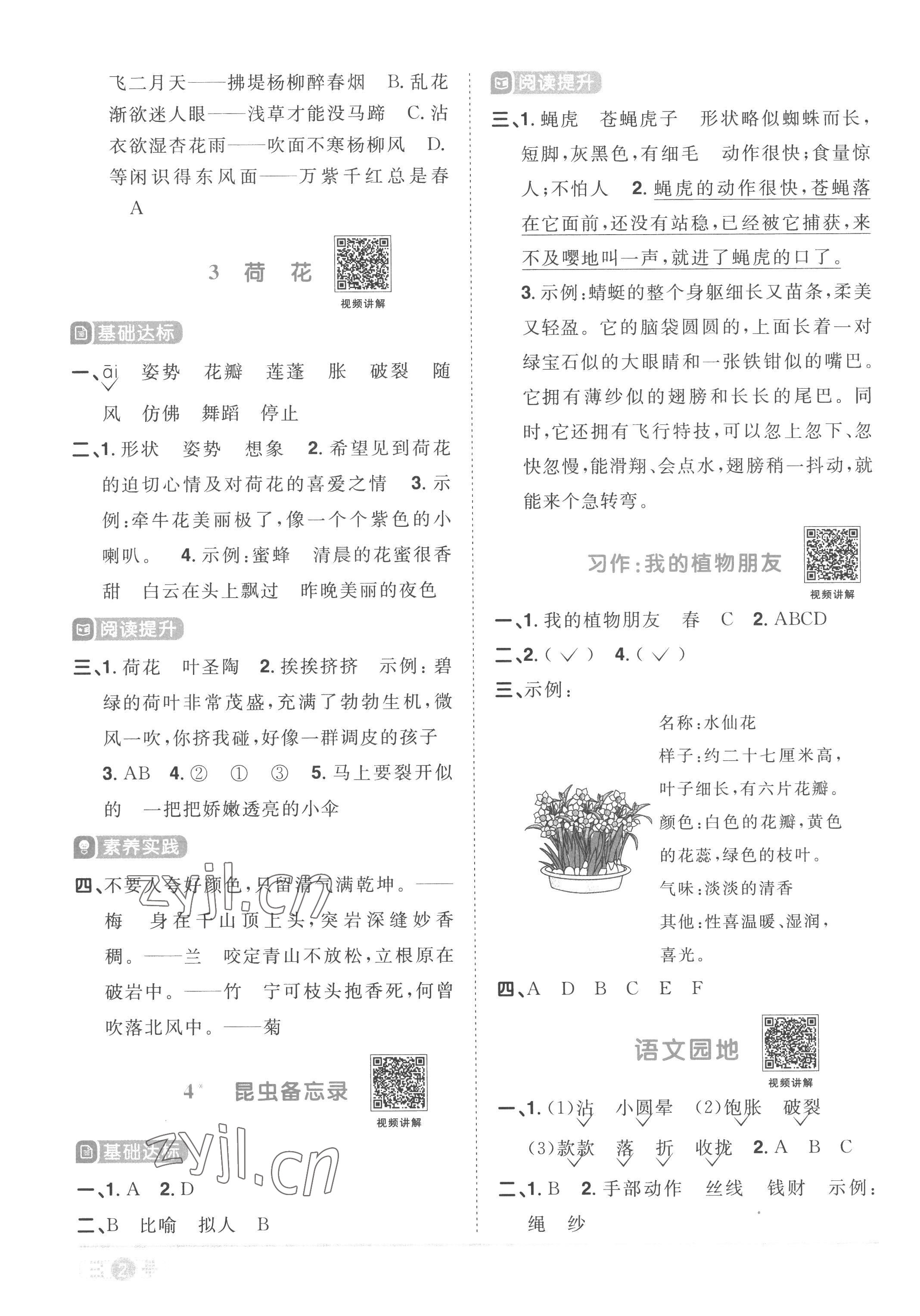 2023年陽光同學(xué)課時(shí)優(yōu)化作業(yè)三年級語文下冊人教版菏澤專版 參考答案第2頁