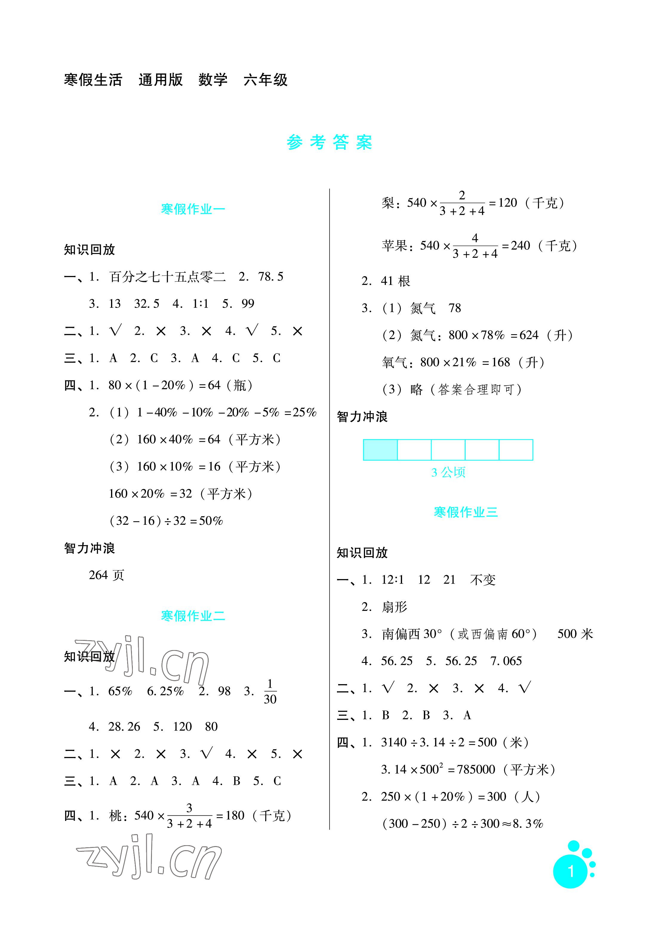 2023年寒假生活六年级数学通用版河北少年儿童出版社 参考答案第1页