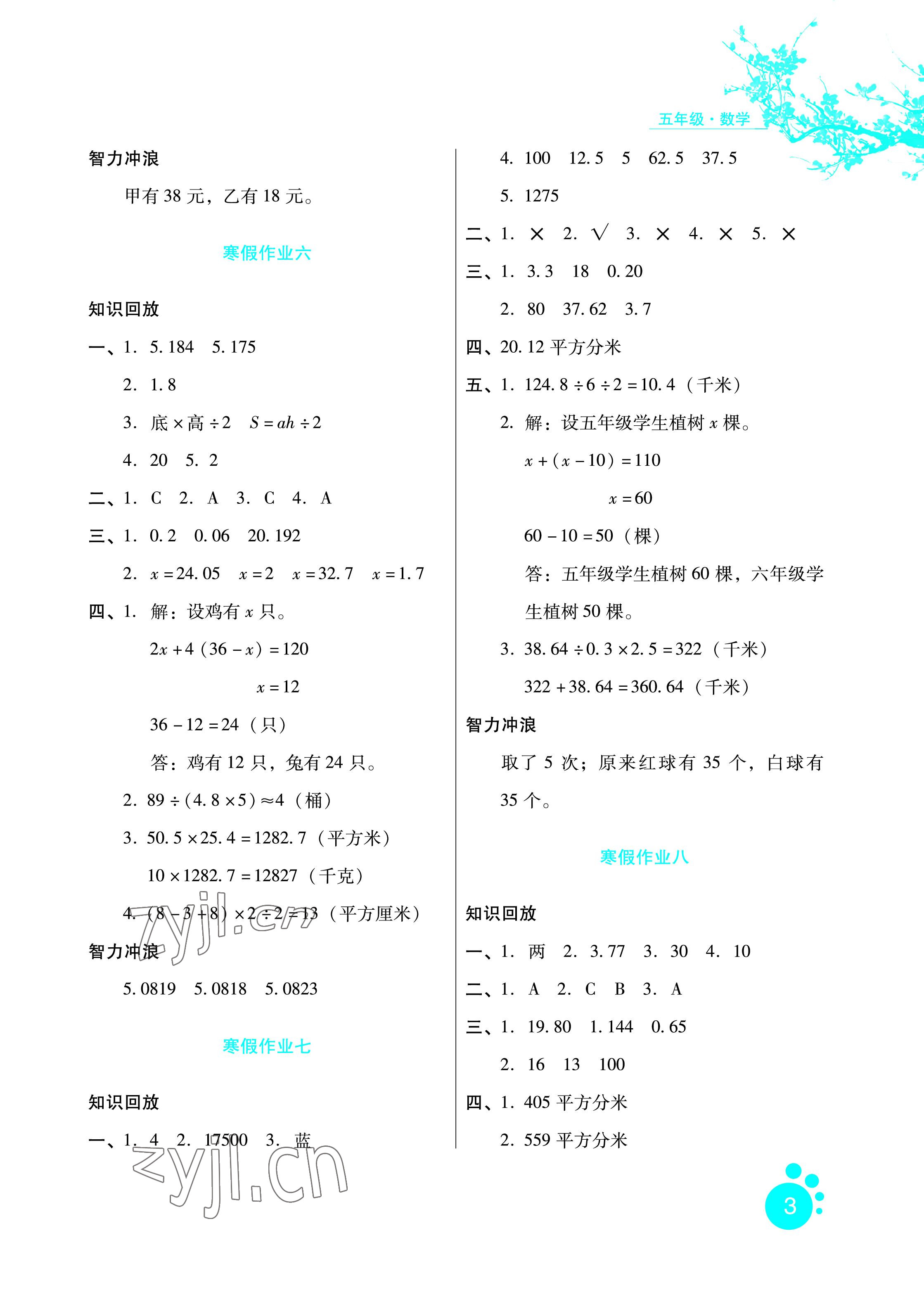 2023年寒假生活五年級數(shù)學(xué)通用版河北少年兒童出版社 參考答案第3頁