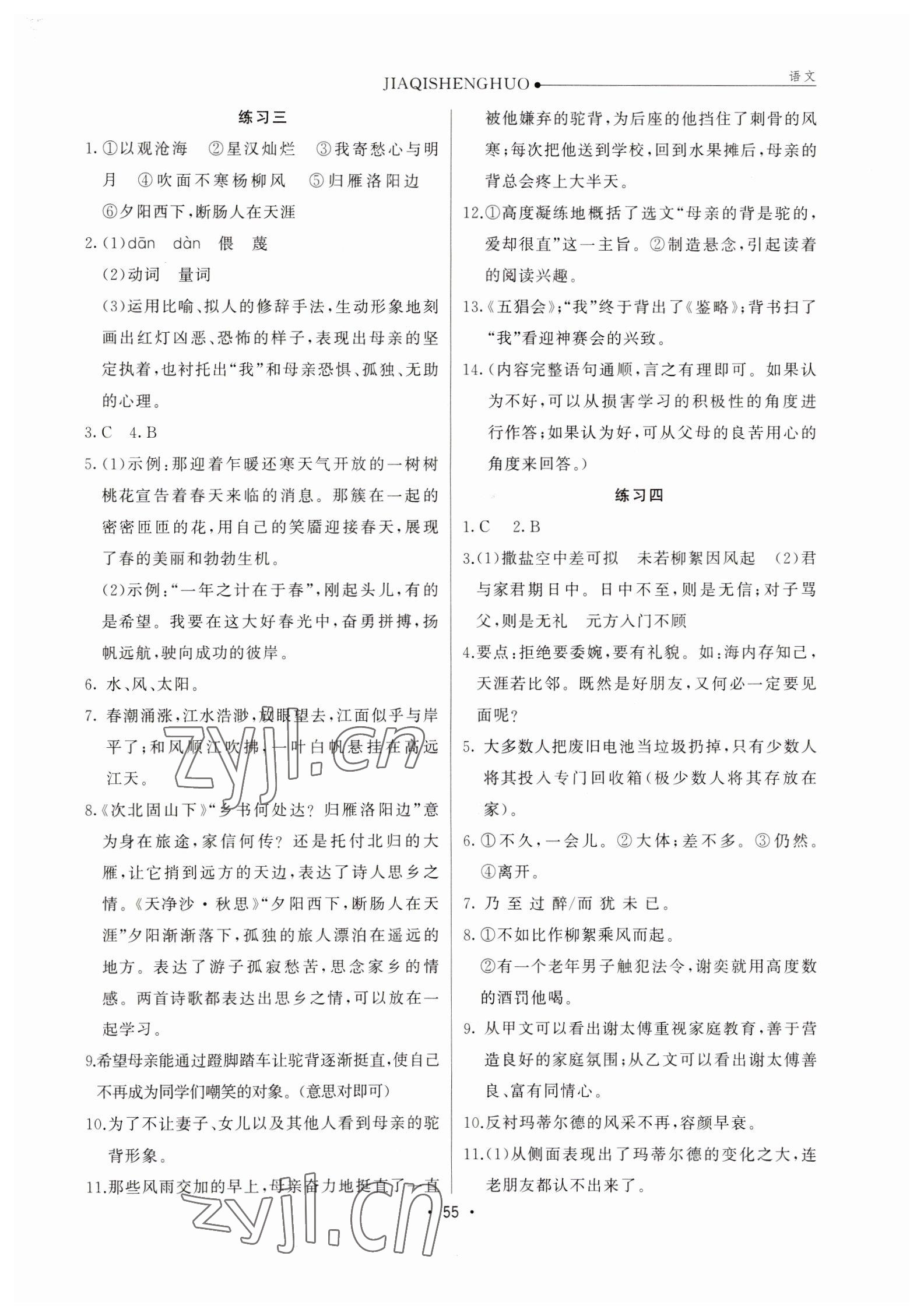 2023年假期生活七年級語文通用版方圓電子音像出版社 參考答案第2頁