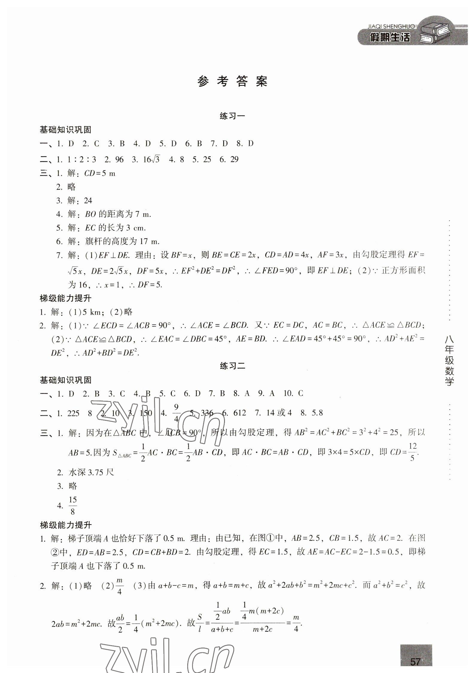 2023年假期生活方圓電子音像出版社八年級(jí)數(shù)學(xué)通用版 第1頁(yè)