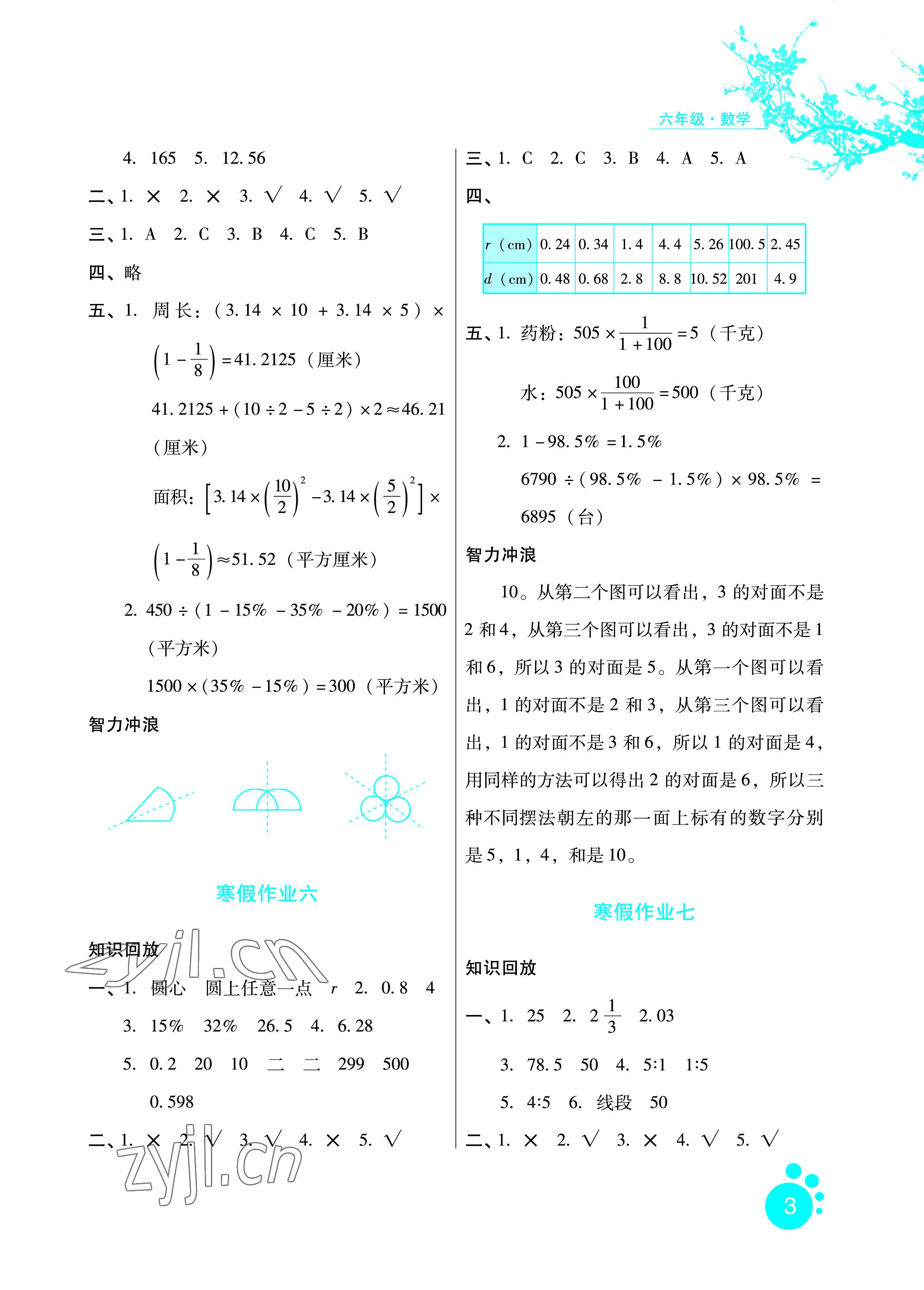 2023年寒假生活六年級(jí)數(shù)學(xué)區(qū)域?qū)０婧颖比嗣癯霭嫔?nbsp;參考答案第3頁(yè)