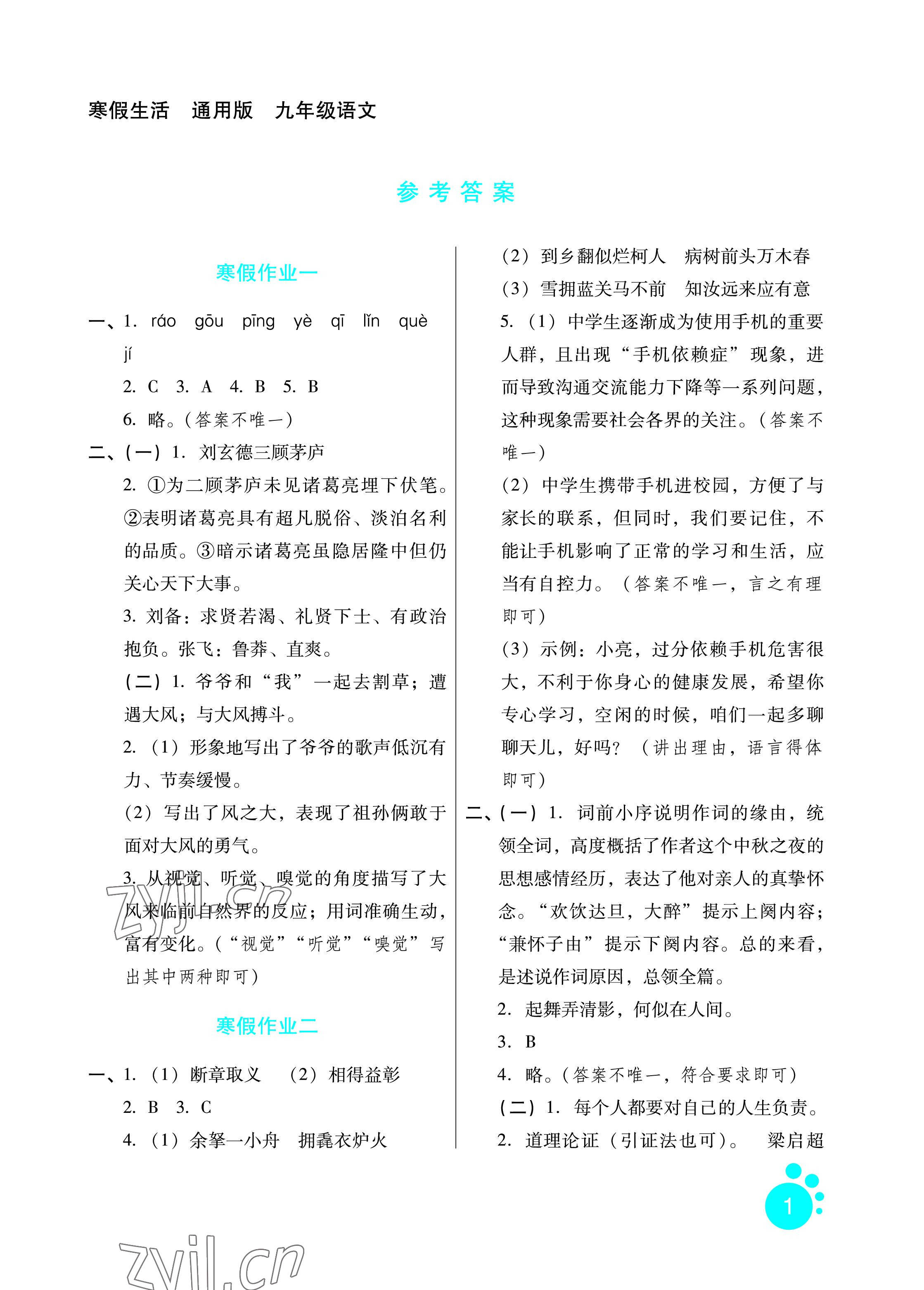 2023年寒假生活九年級(jí)語(yǔ)文河北人民出版社 參考答案第1頁(yè)