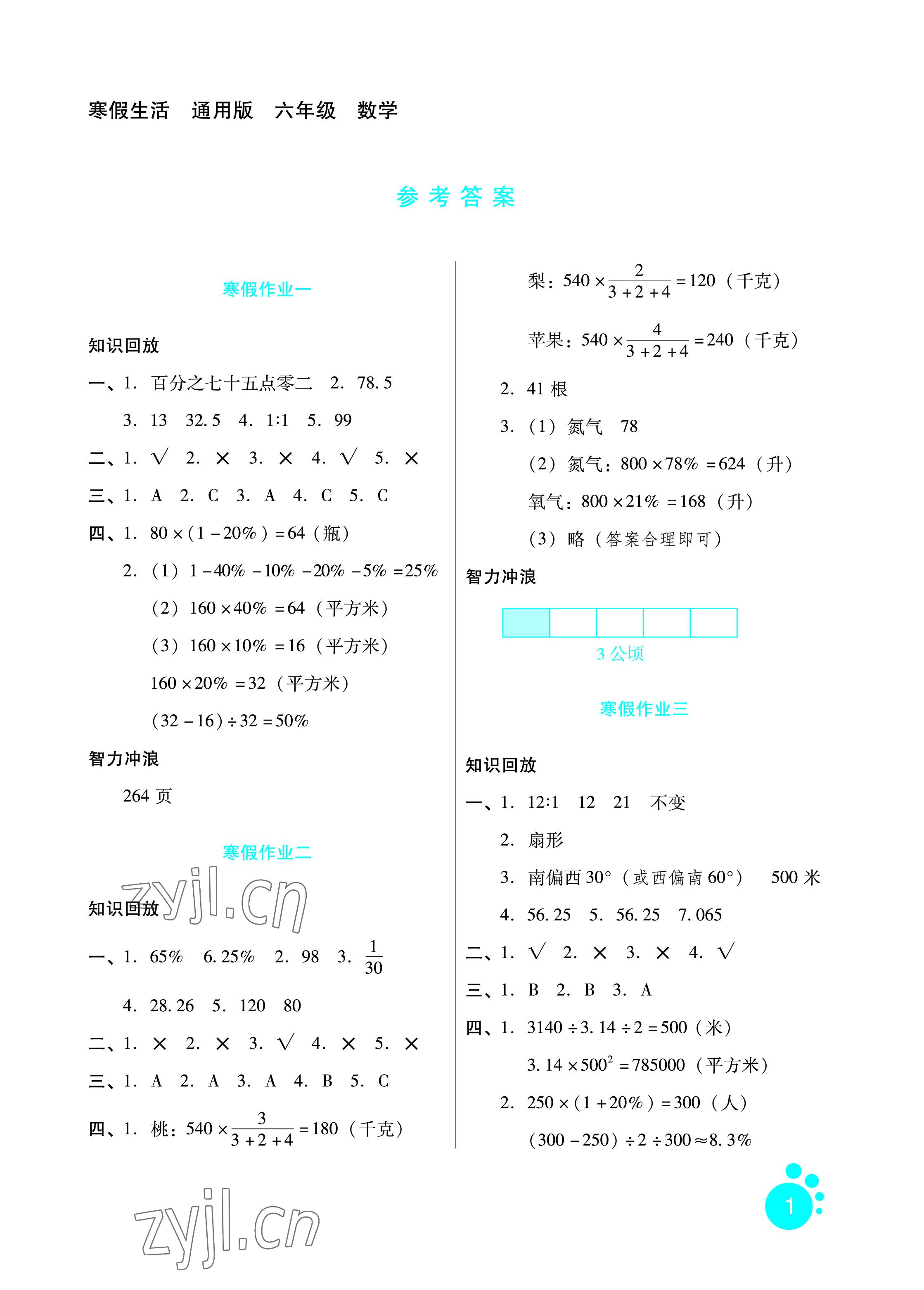 2022年寒假生活六年級數(shù)學河北人民出版社 參考答案第1頁