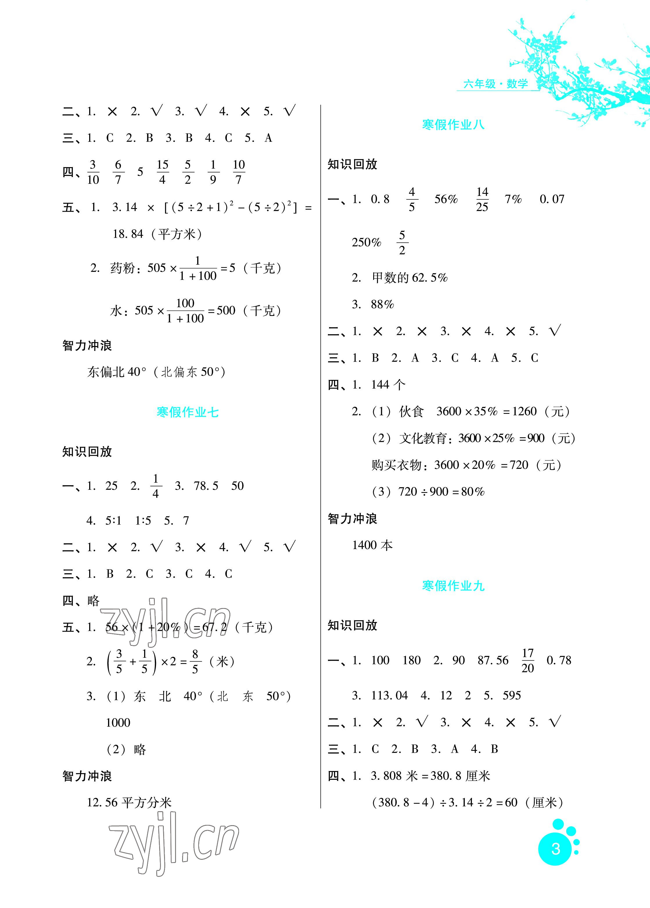 2022年寒假生活六年級數(shù)學(xué)河北人民出版社 參考答案第3頁