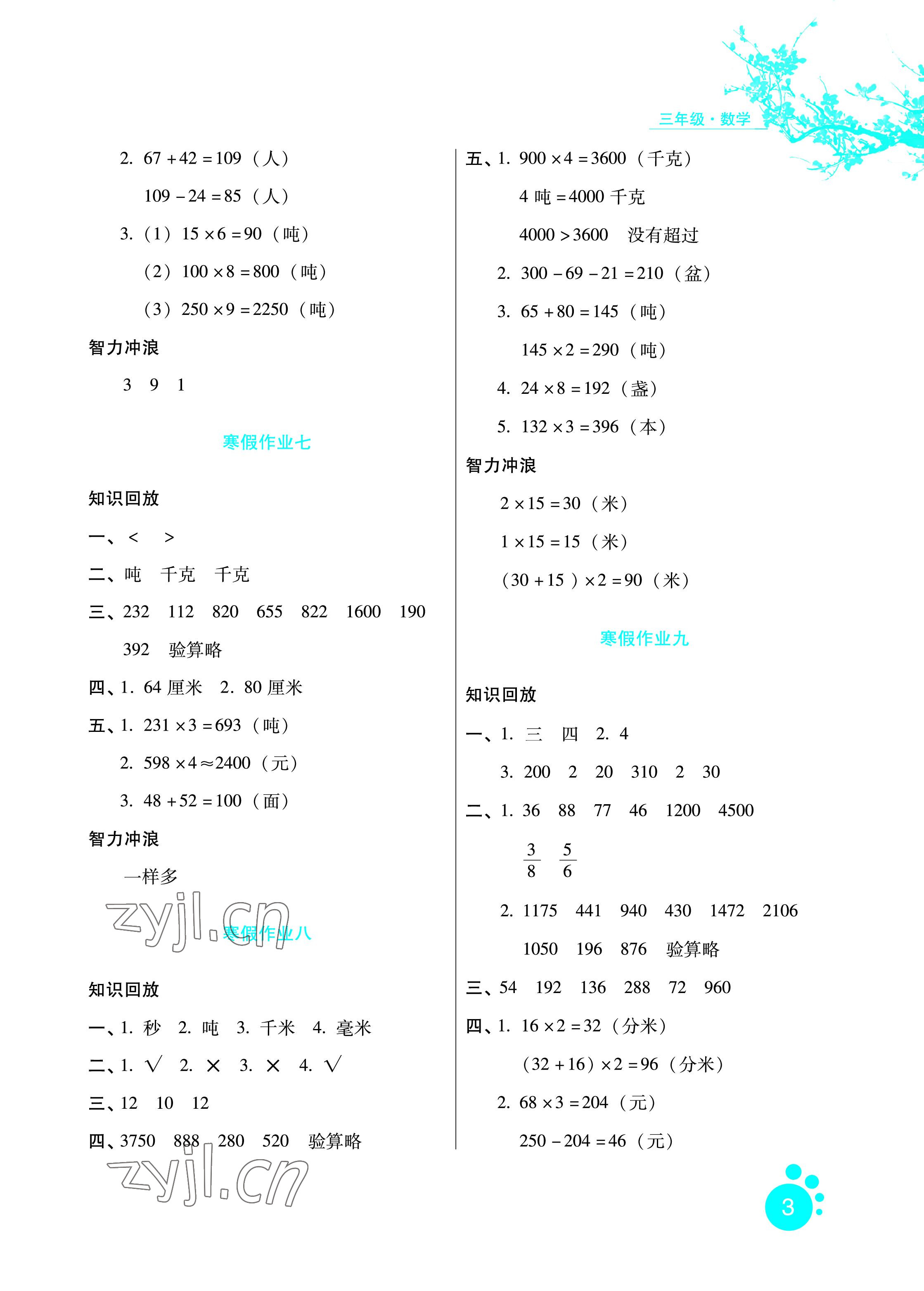 2023年寒假生活三年級數(shù)學河北人民出版社 參考答案第3頁