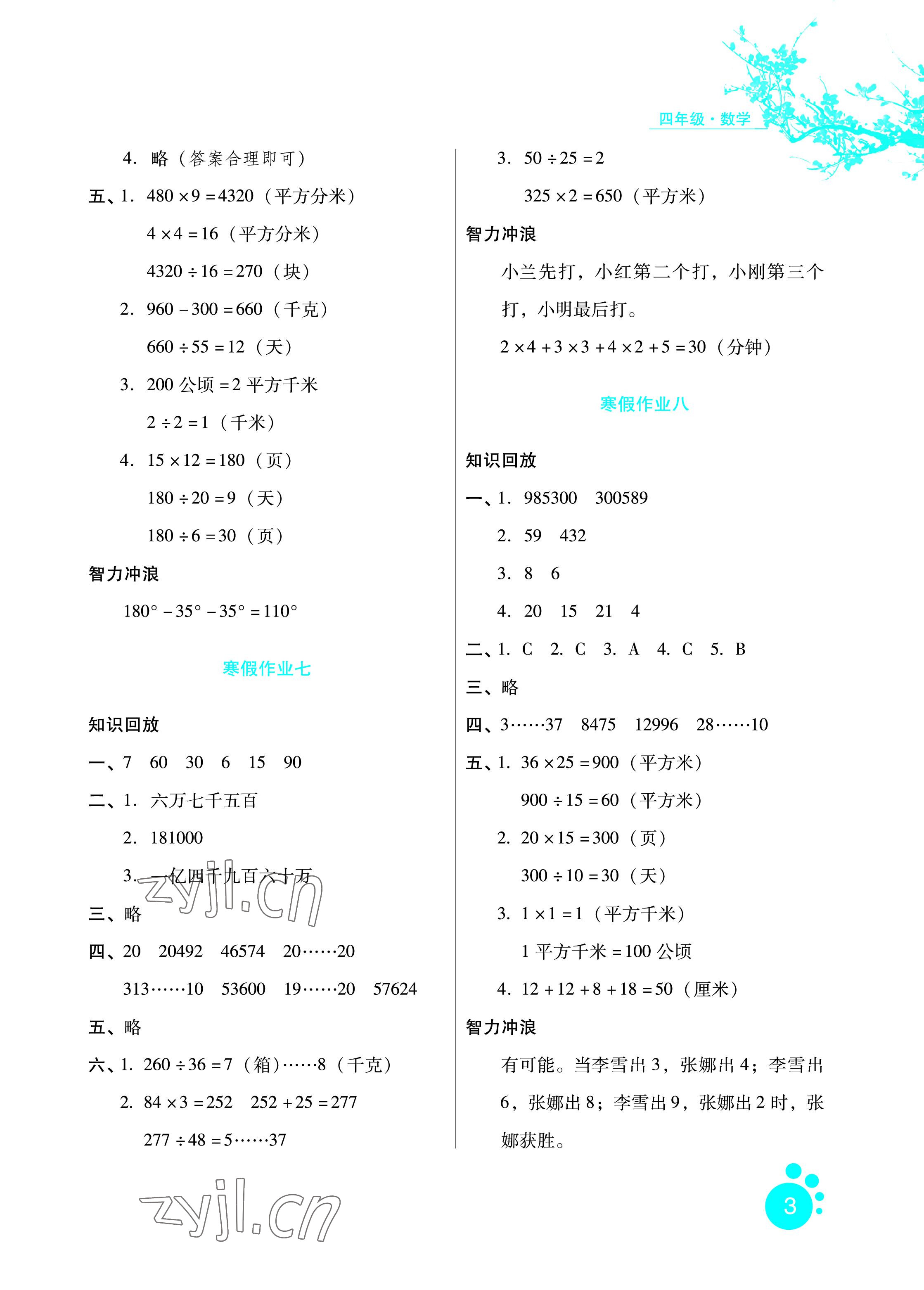 2023年寒假生活四年級數(shù)學河北人民出版社 參考答案第3頁