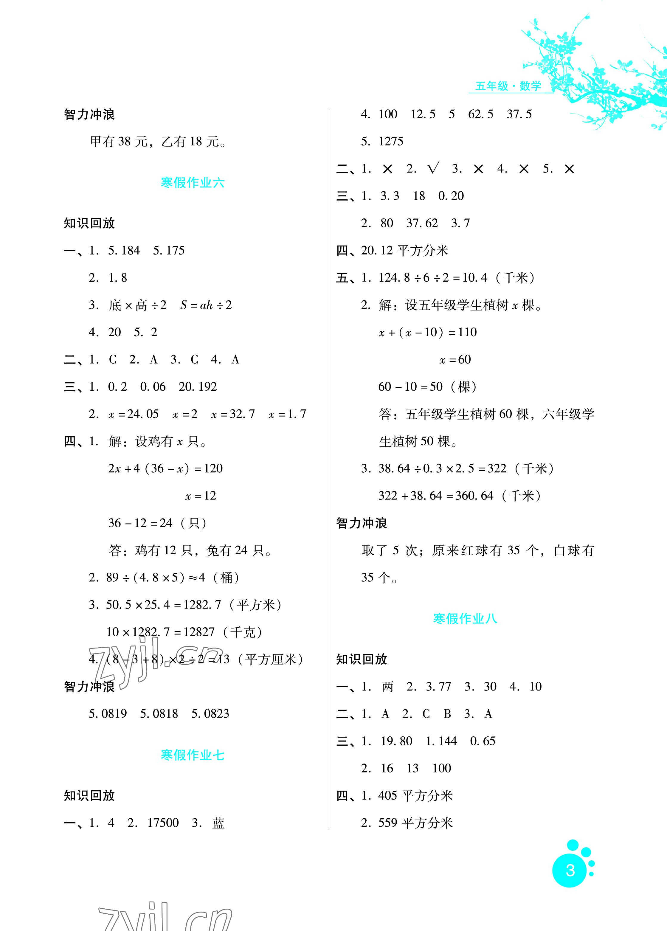 2023年寒假生活五年級數(shù)學河北人民出版社 參考答案第3頁