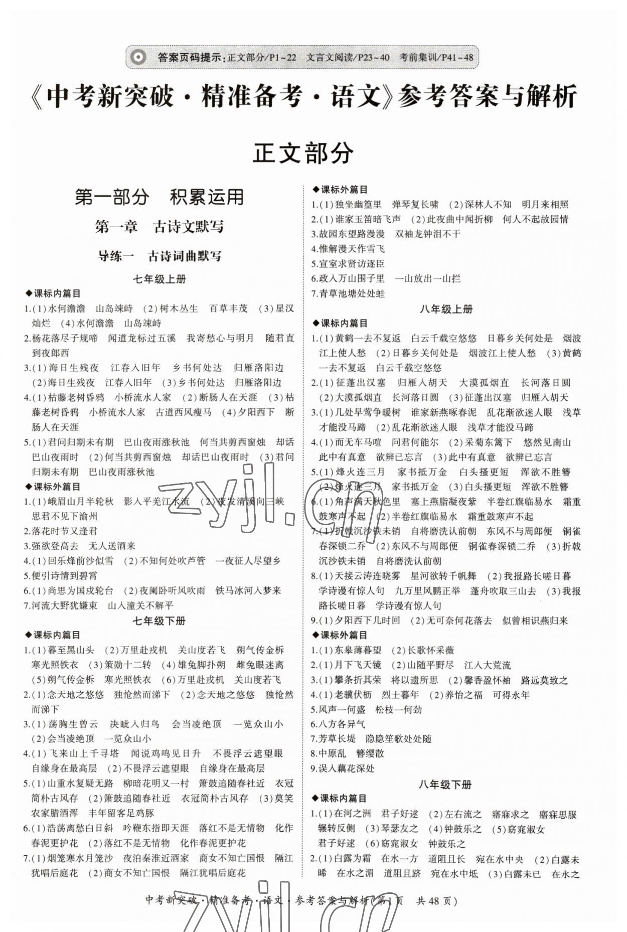 2023年中考新突破精準(zhǔn)備考語文中考 第1頁