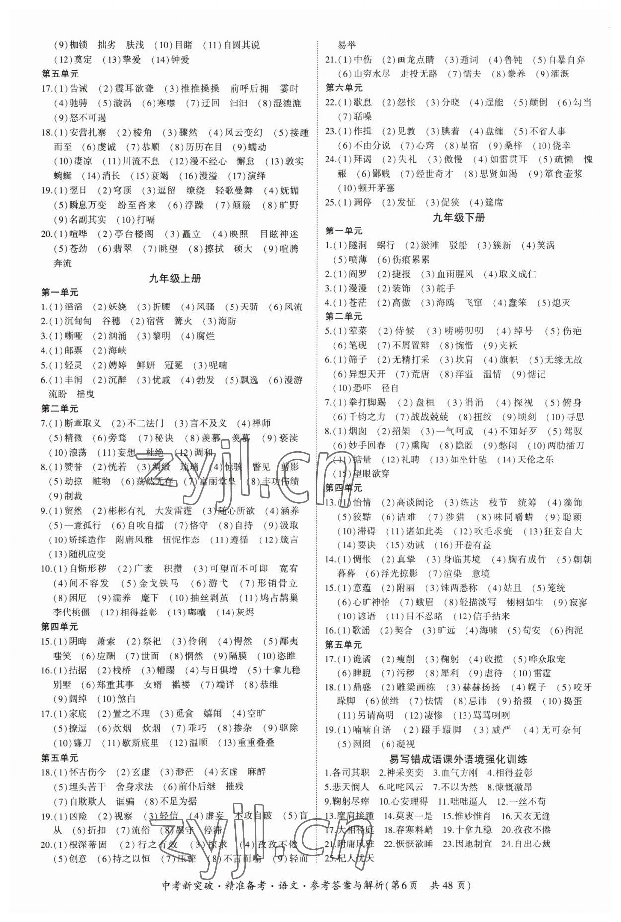 2023年中考新突破精準備考語文中考 第6頁