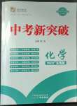 2023年中考新突破化學