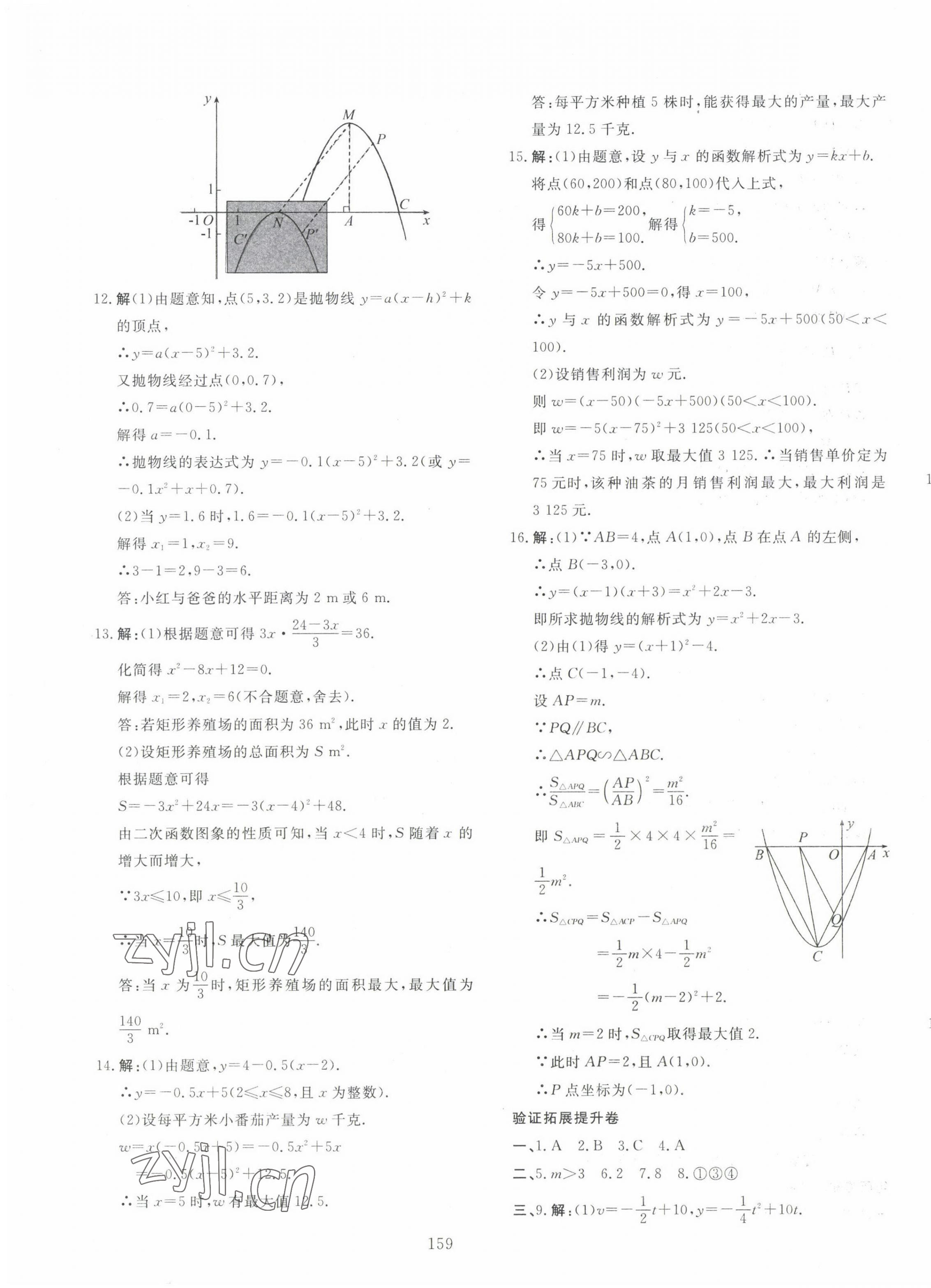 2023年中考先鋒新疆文化出版社數(shù)學 第11頁
