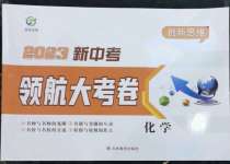 2023年新中考領航大考卷化學