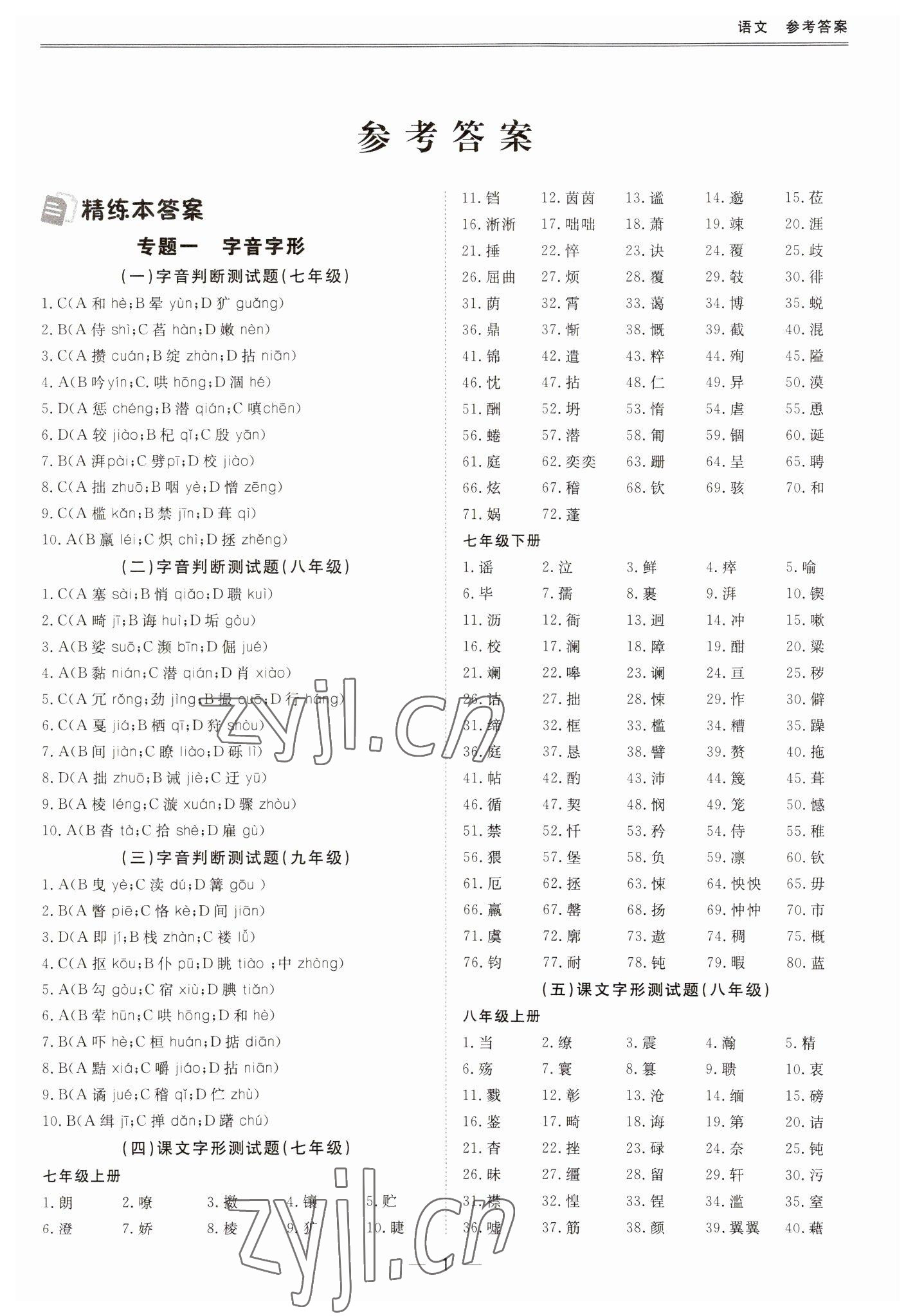 2023年新課標(biāo)中考寶典語文深圳專版 第1頁