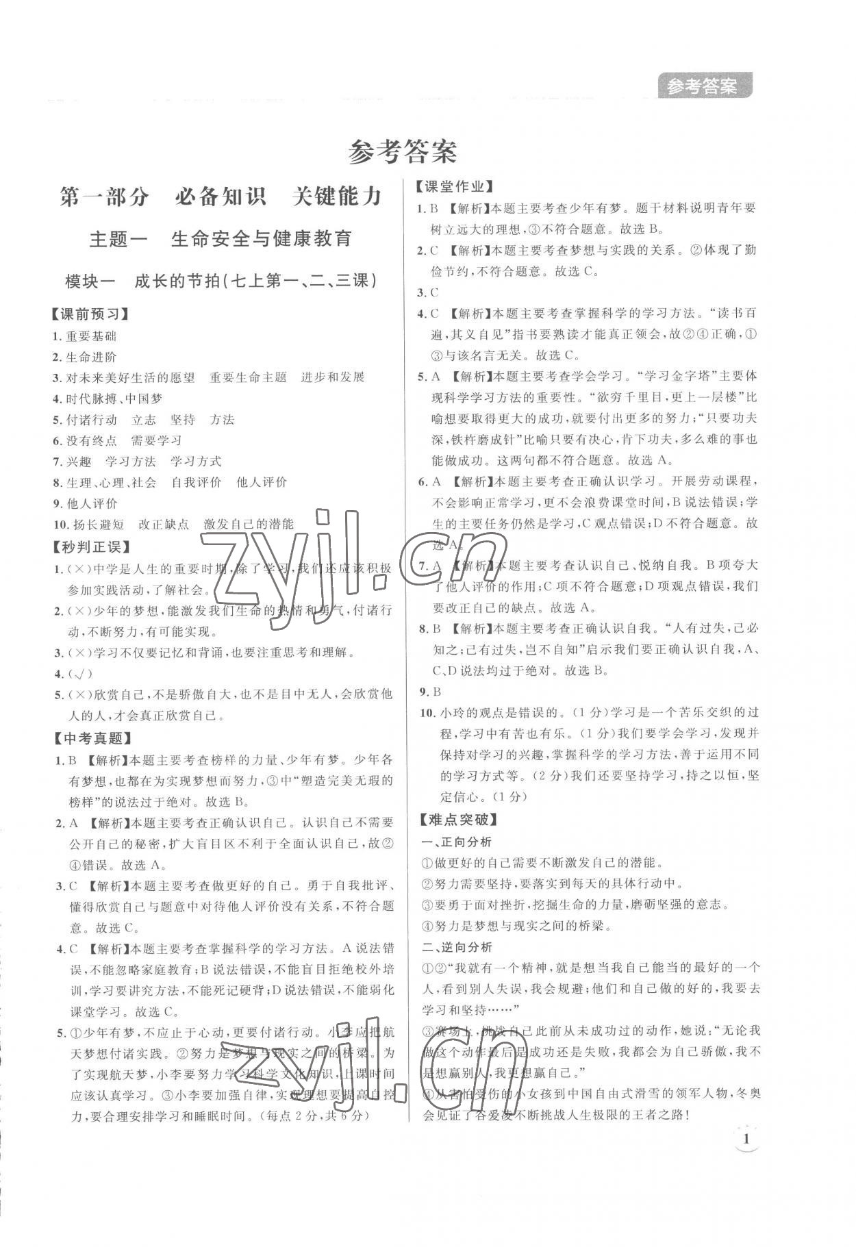 2023年廣東名師講練通中考總復習道德與法治深圳專版 第1頁