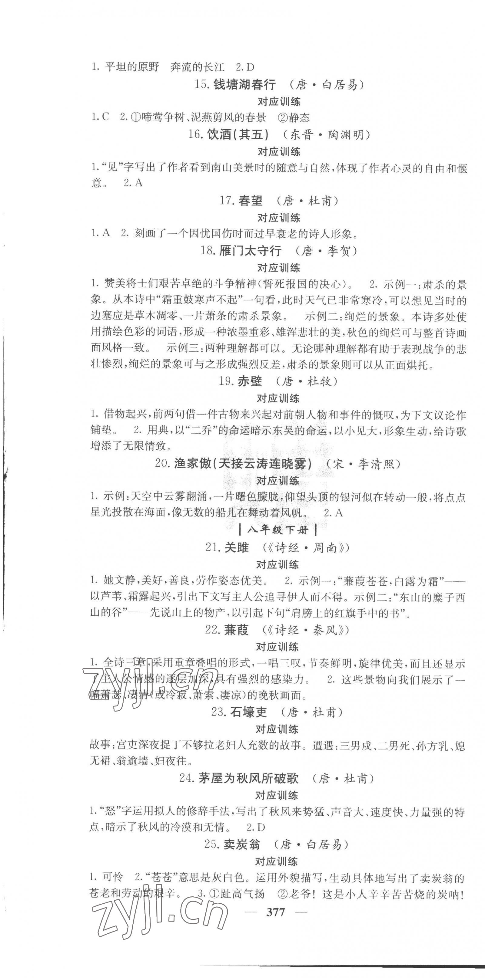 2023年中考新航線(xiàn)語(yǔ)文湖北專(zhuān)版 第7頁(yè)