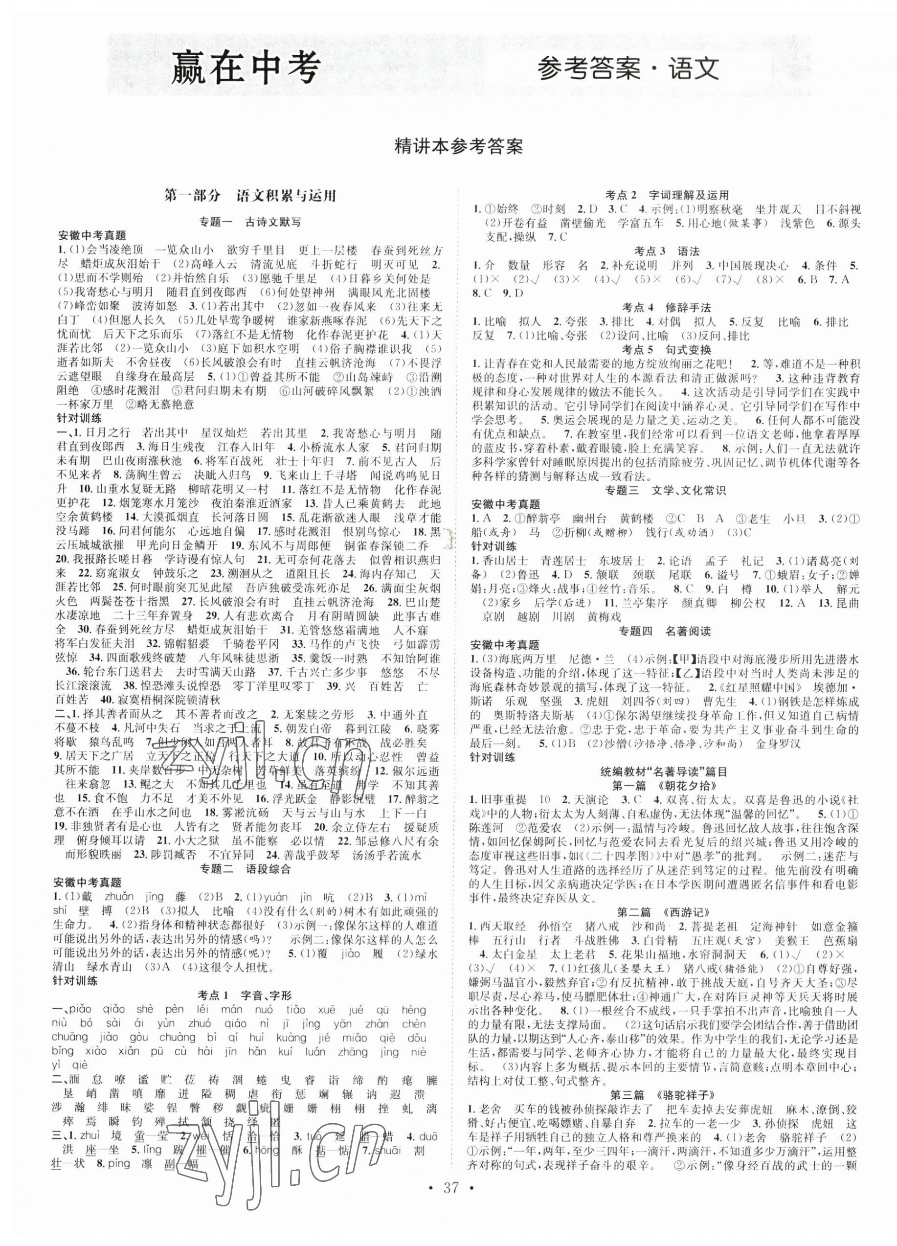 2023年贏在中考搶分王語文安徽中考 第1頁(yè)