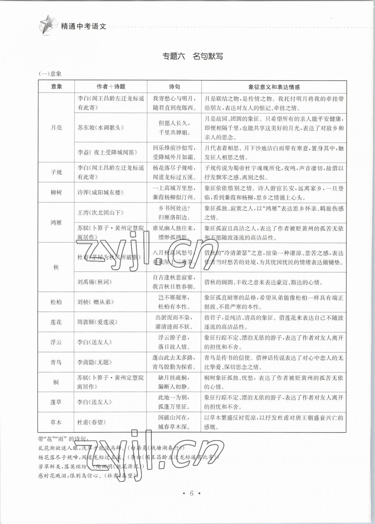 2023年精通中考語文 第6頁